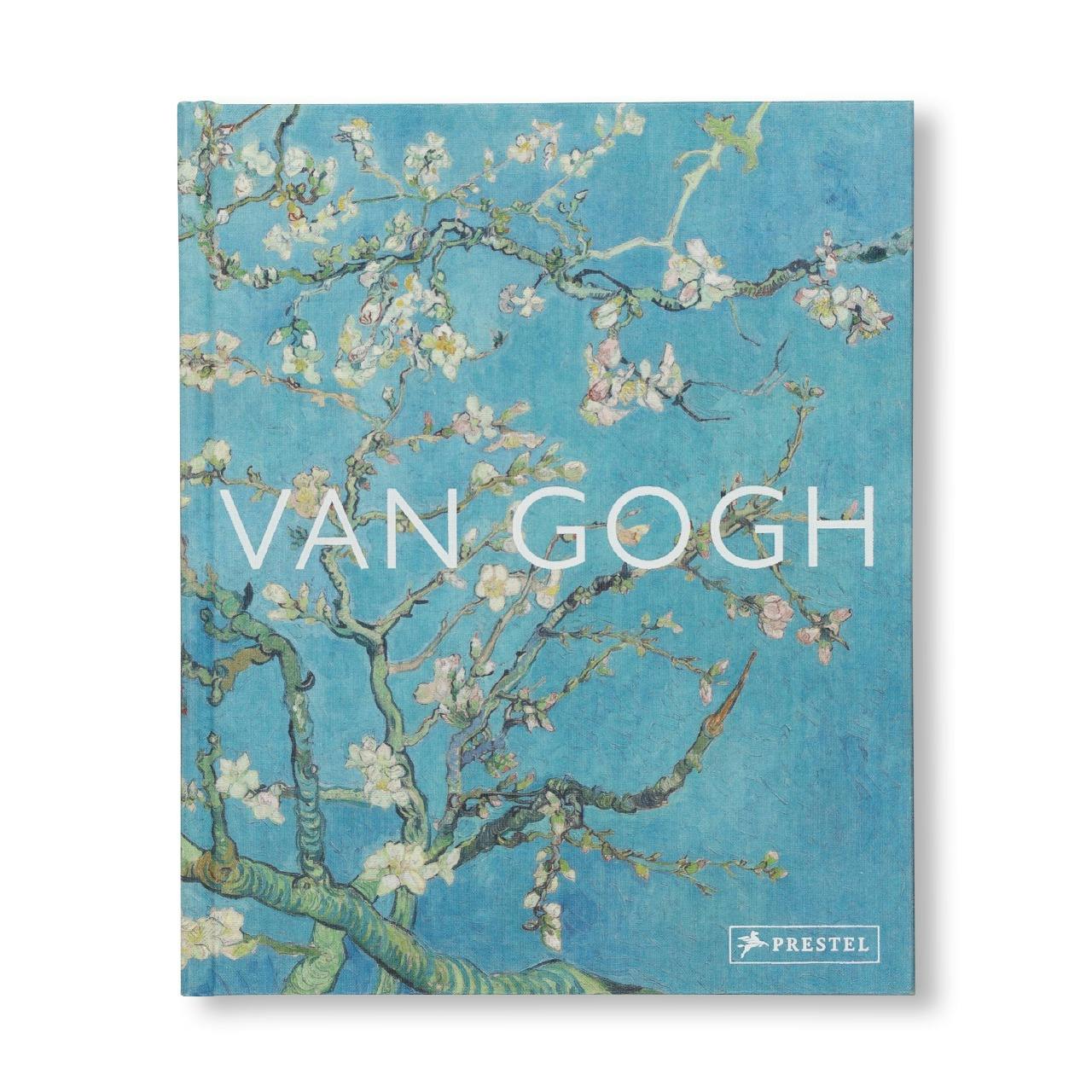 VAN GOGH - THE BIGGER PICTURE