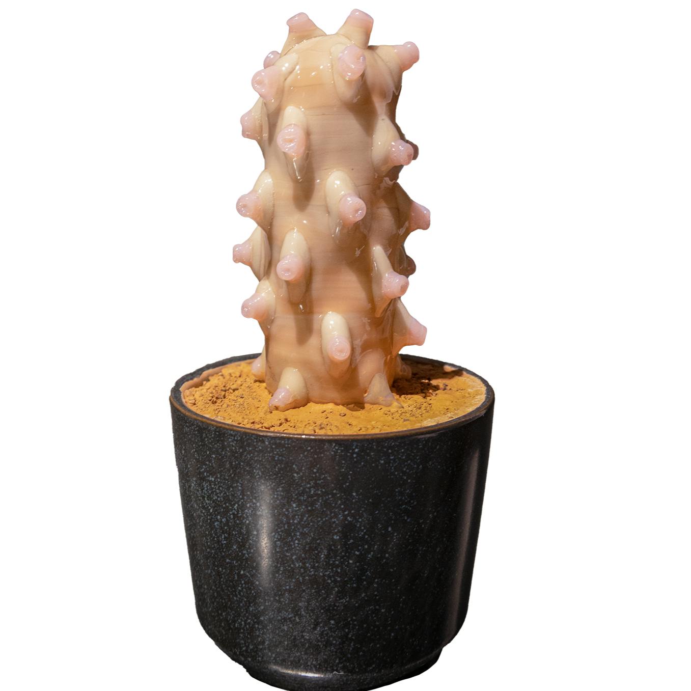 Low birthrate countermeasures