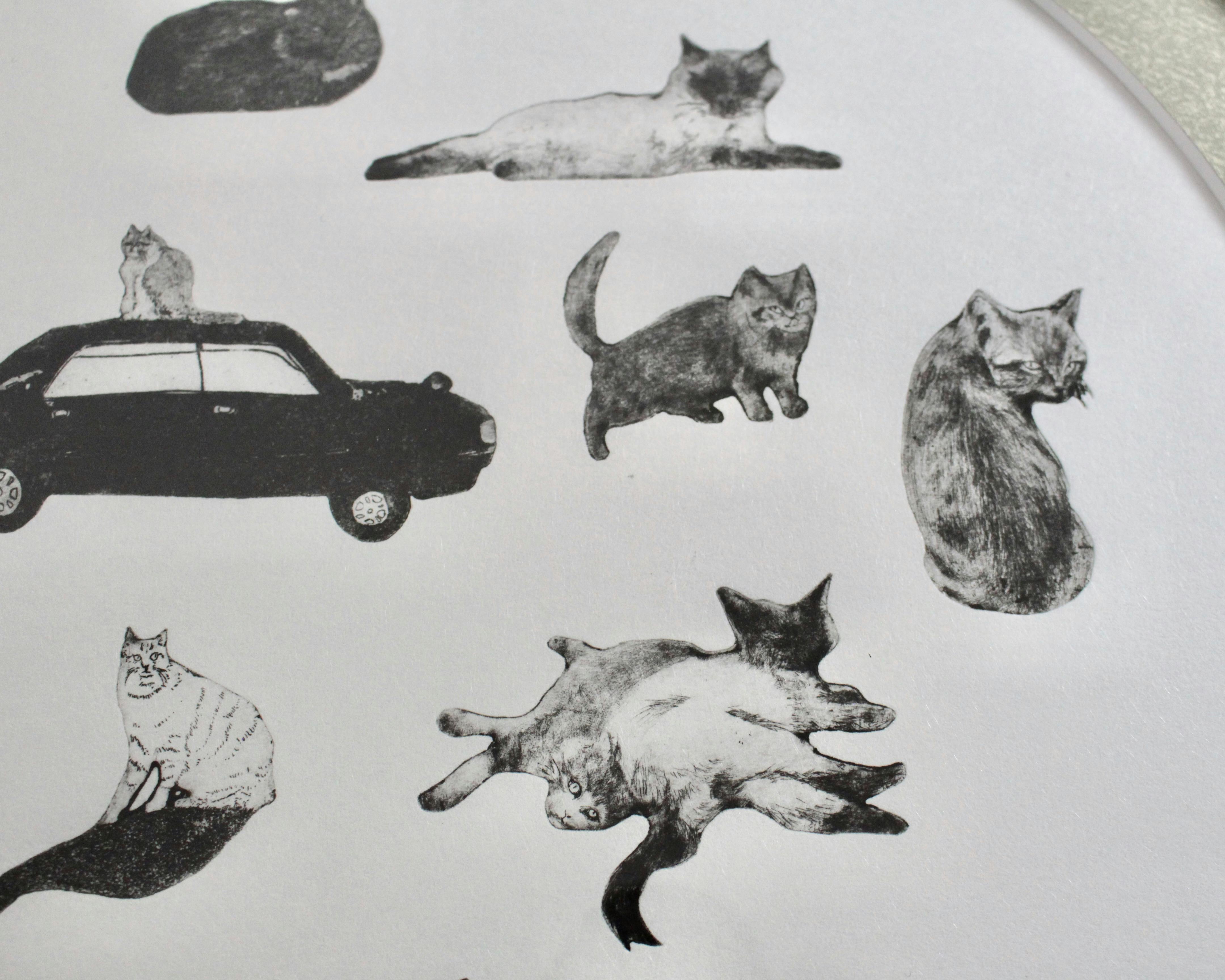 Kaoru Furuya, All Kinds of Stray Cats