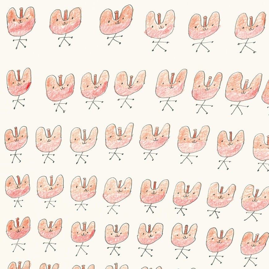 チョコりんごちゃん