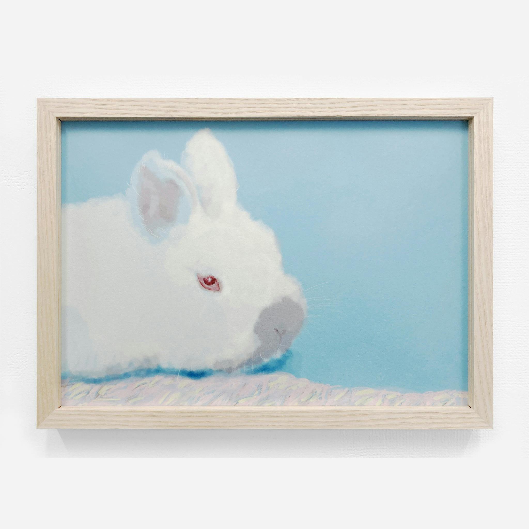 因幡ほわうさぎ