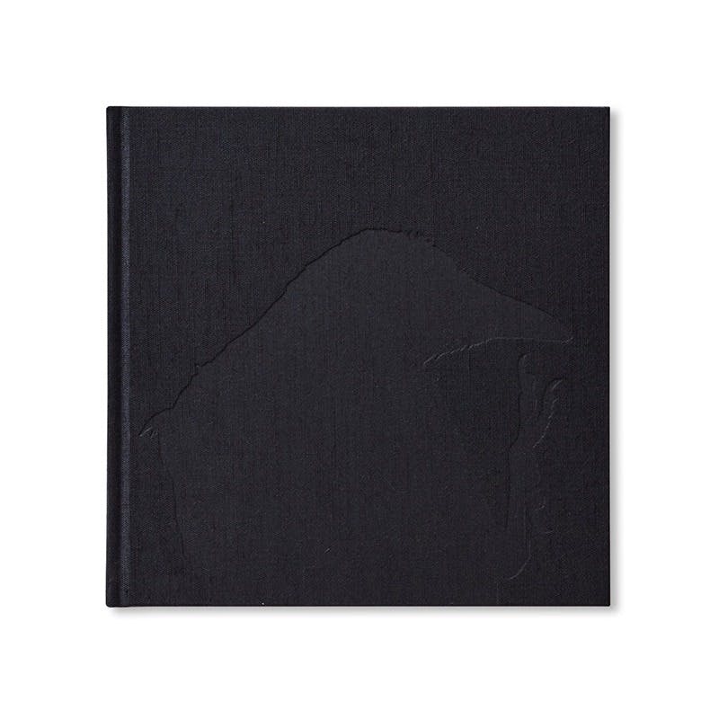 深瀬昌久写真集 「鴉/RAVENS（レイブンズ）」 .