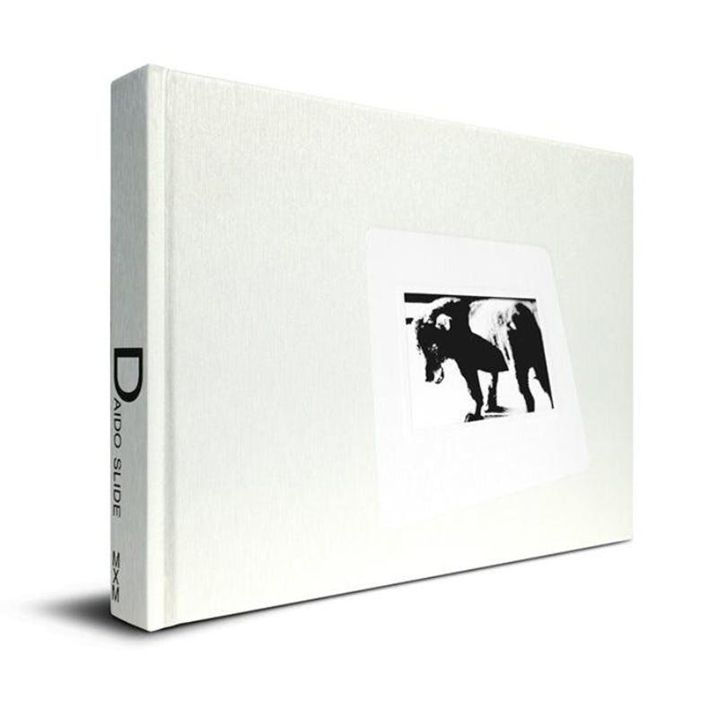 【著者サイン入り】森山大道 写真集『DAIDO SLIDE』 ※表紙：三沢の犬が左向き（LEFT）