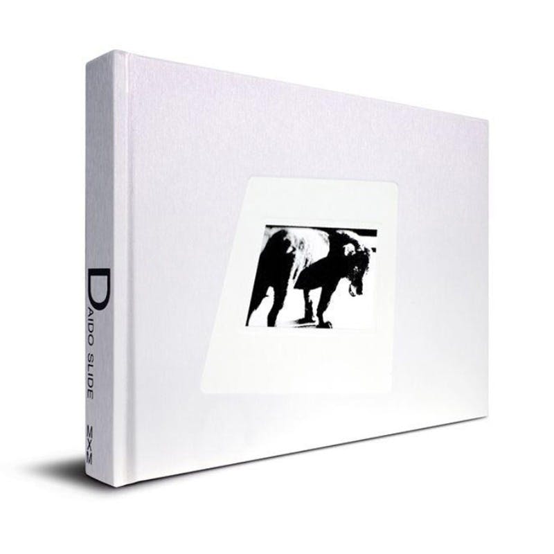 【著者サイン入り】森山大道 写真集『DAIDO SLIDE』 ※表紙：三沢の犬が右向き（RIGHT）