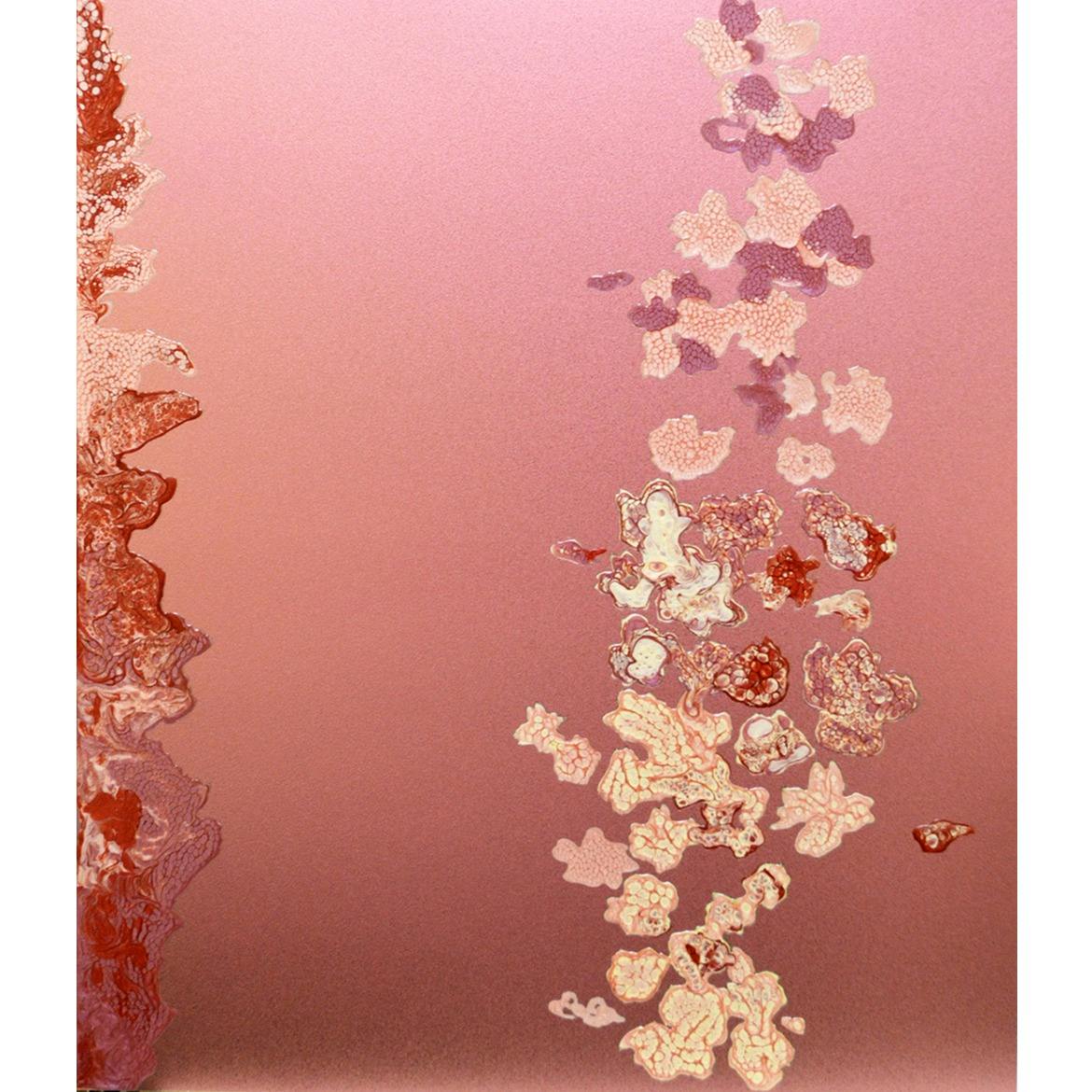 風からの伝えごと-2501