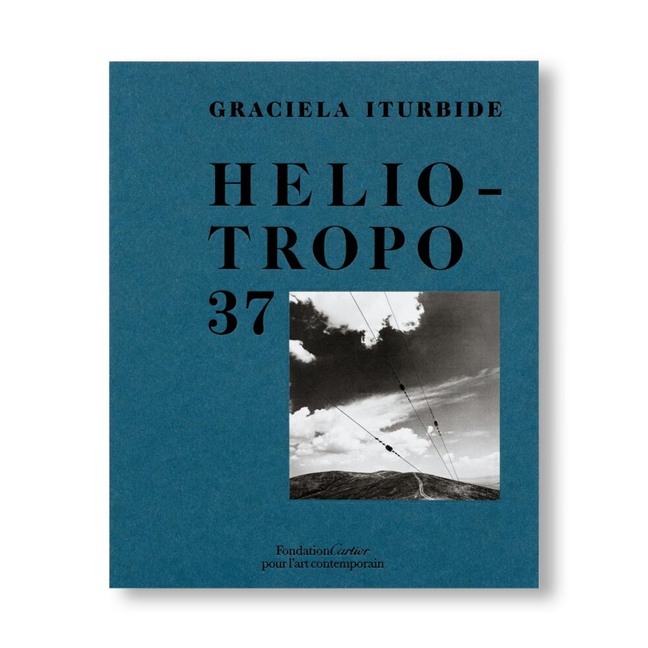 HELIOTROPO 37