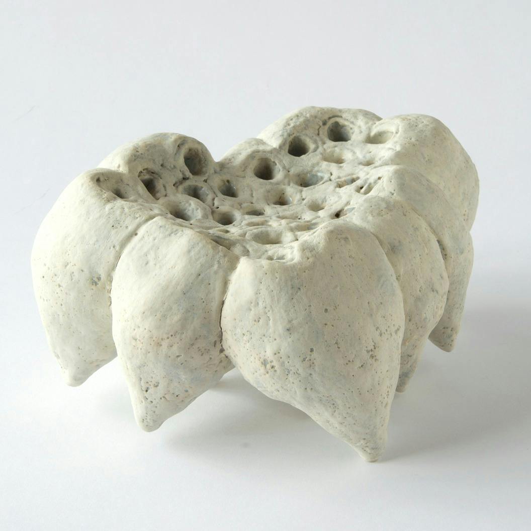 小さな穴があく・白い花 12