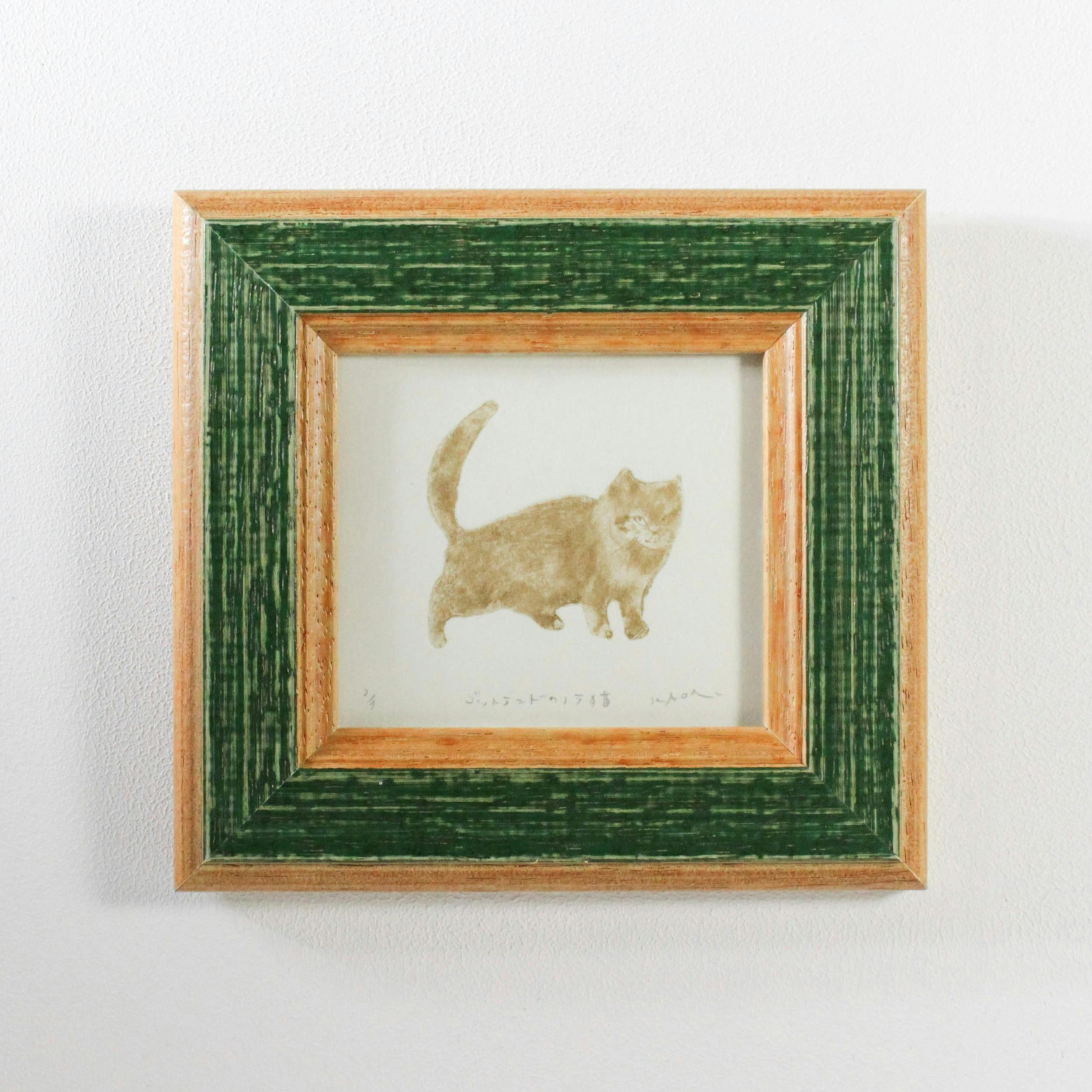 ゴッドランドのノラ猫