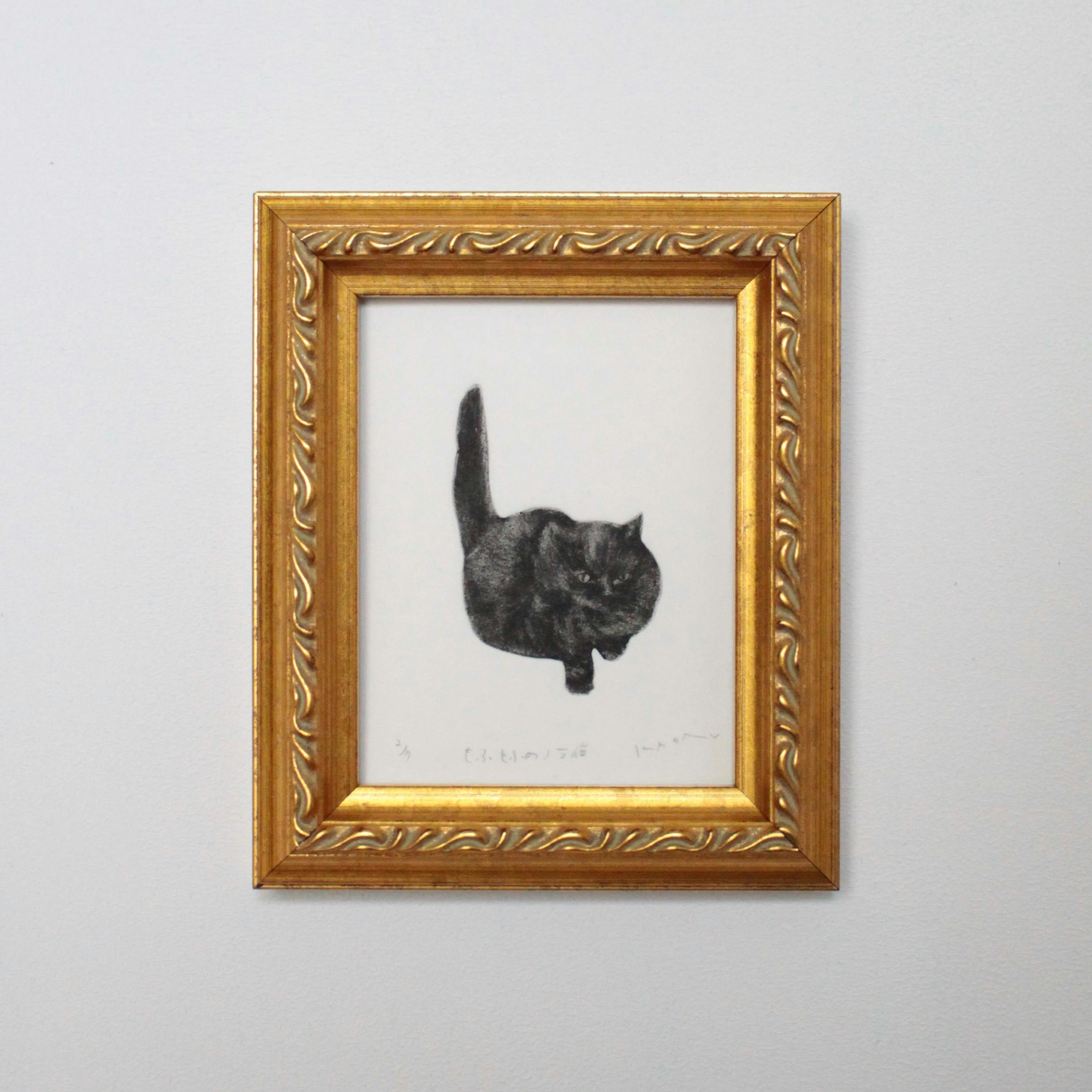 もふもふのノラ猫