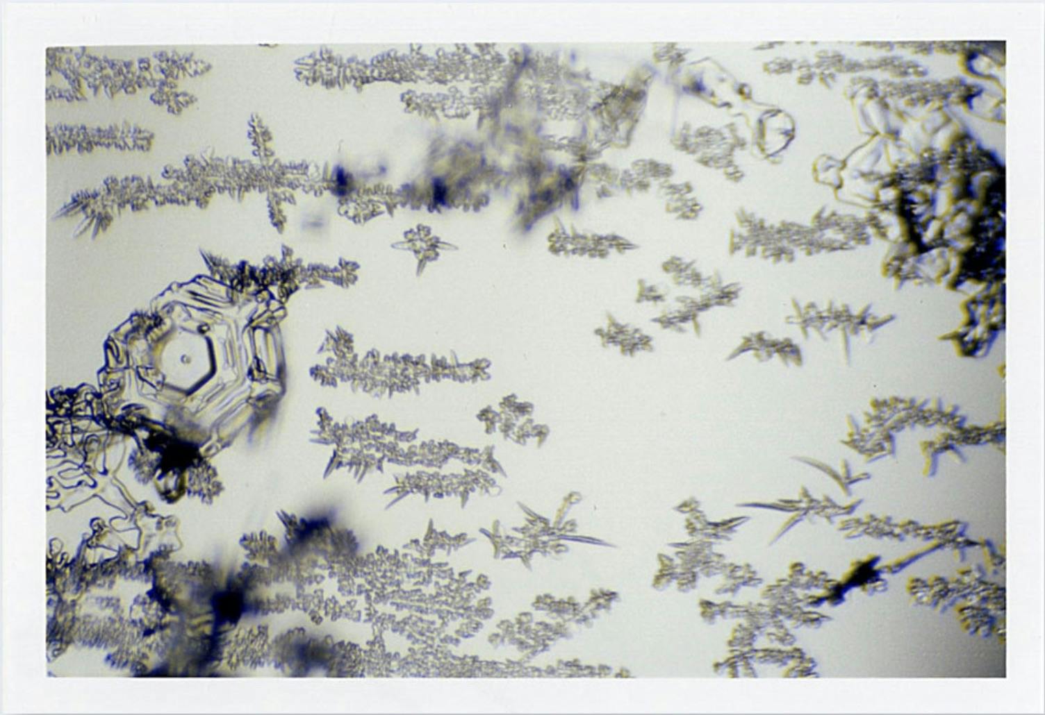 鈴木理策: Snow Letter (One Picture Book #80)