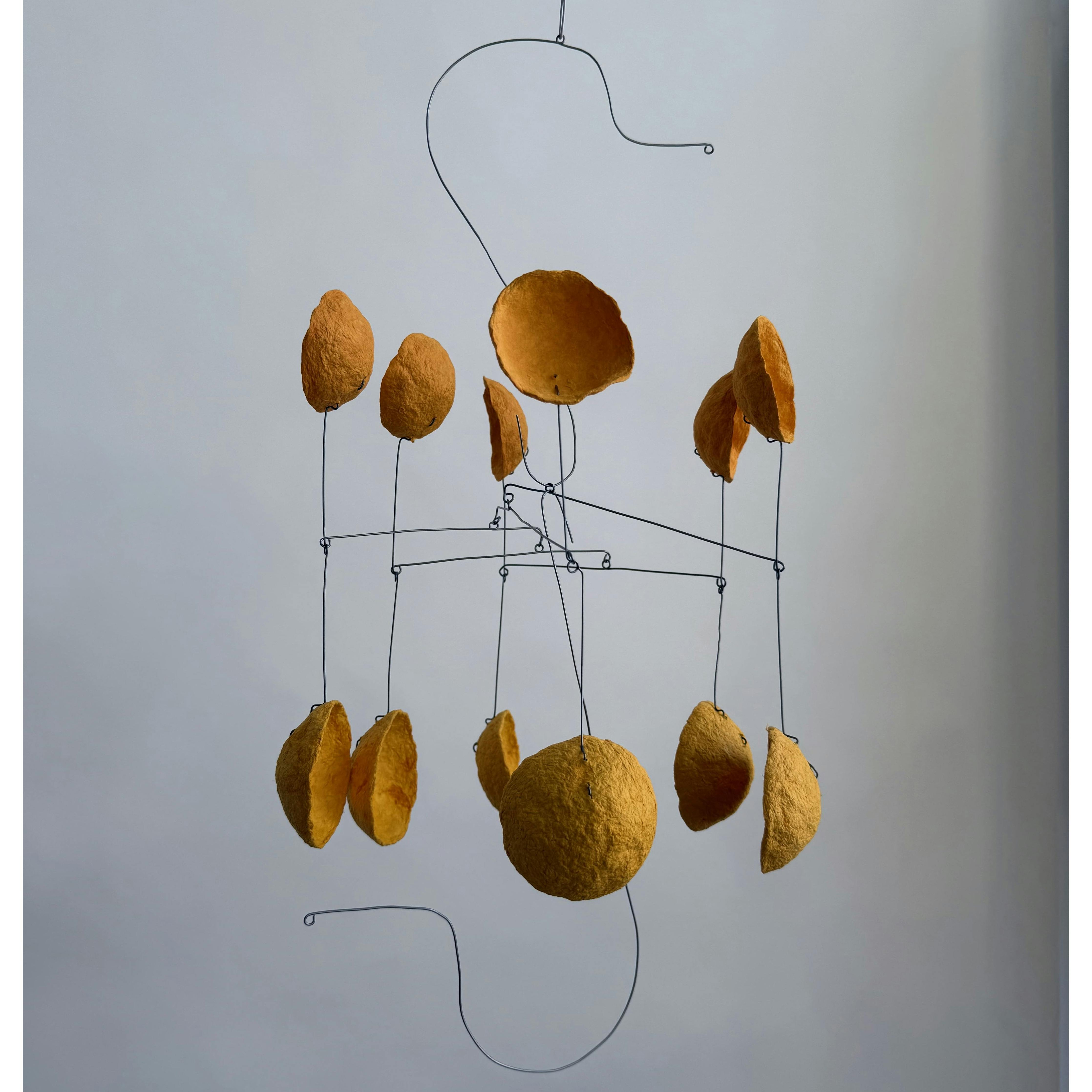 買い物 (Dinner Plans)