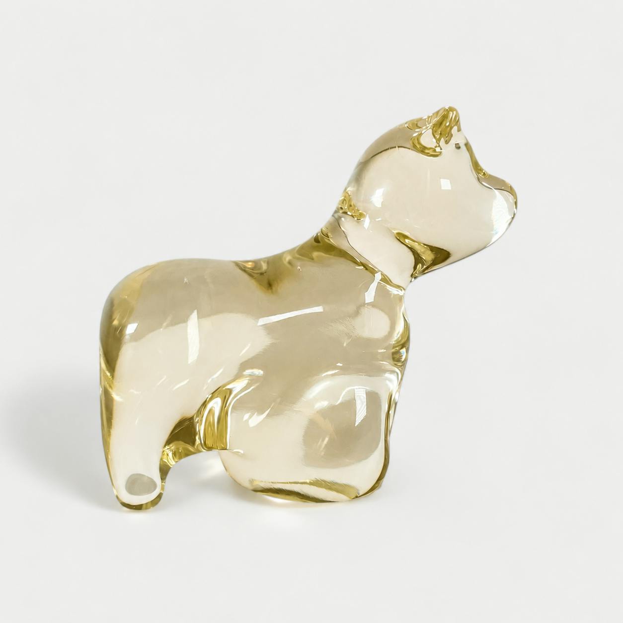 Solid Animal