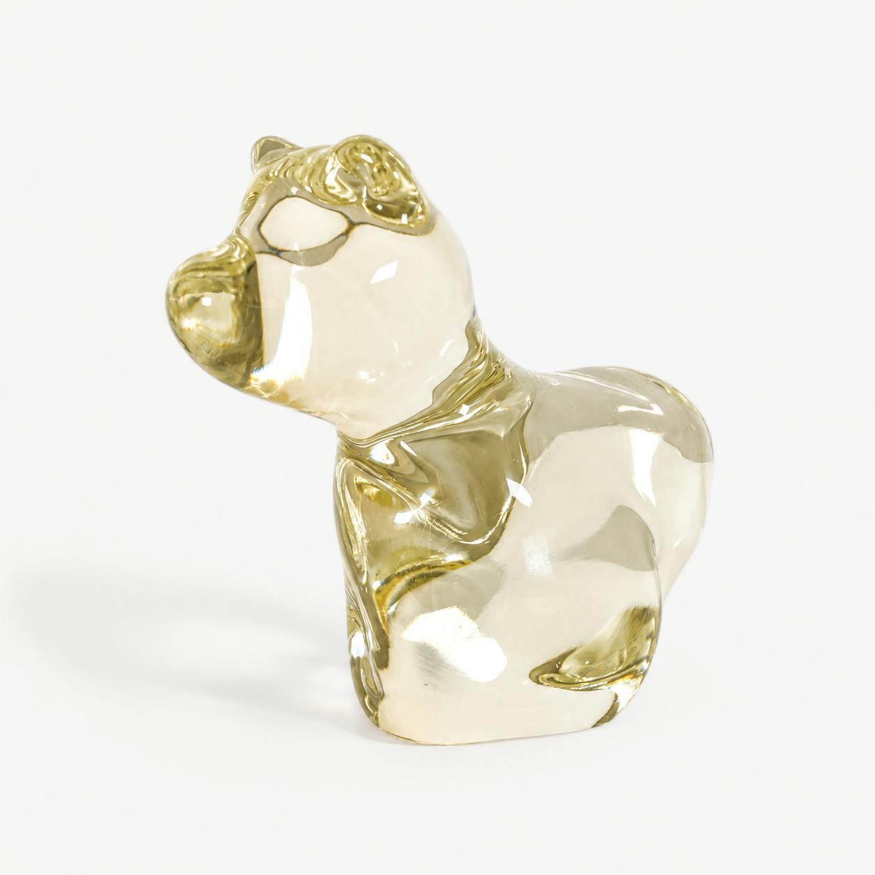Solid Animal