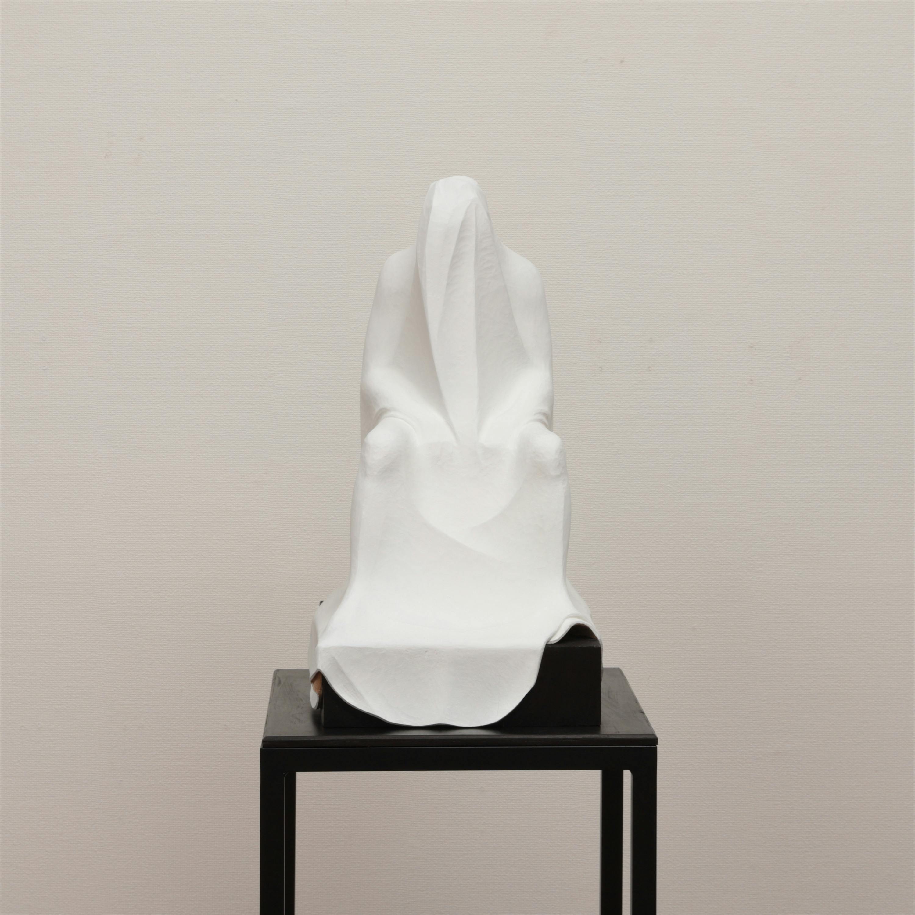 SCULPTURE VEIL NO.10