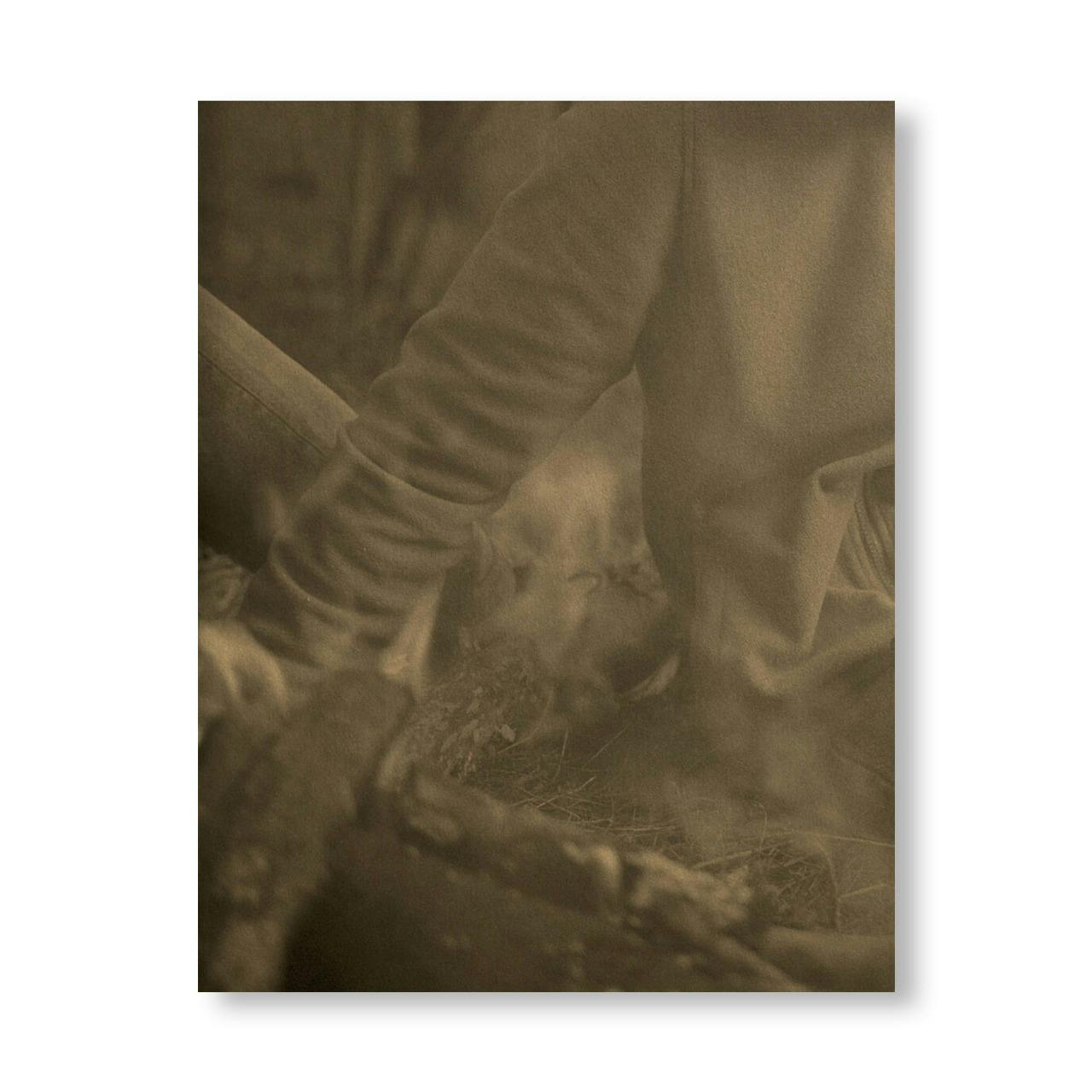 LA RONDE DES HIRONDELLES