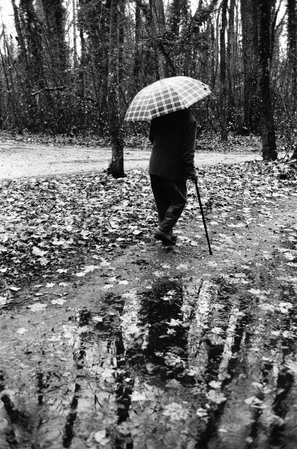 Dernier hiver Tendresses plurielles 2