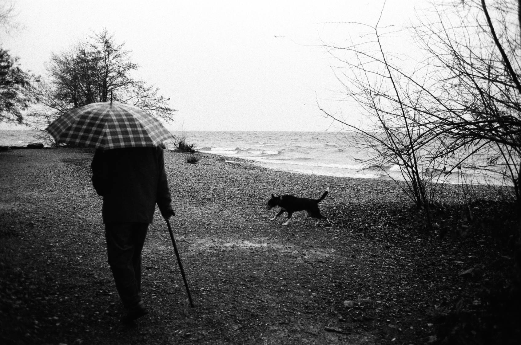 Dernier hiver Tendresses plurielles 5