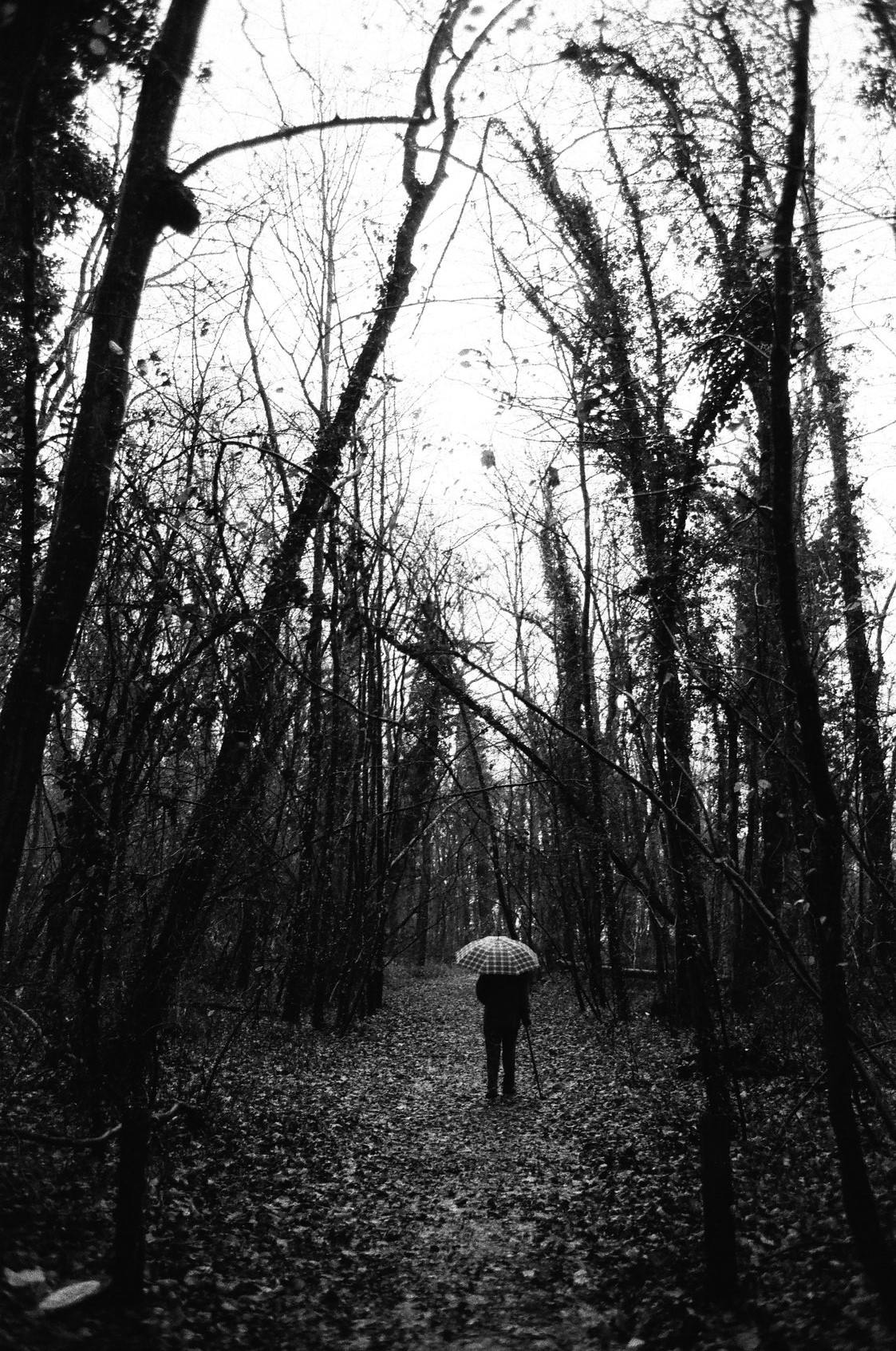 Dernier hiver Tendresses plurielles 4