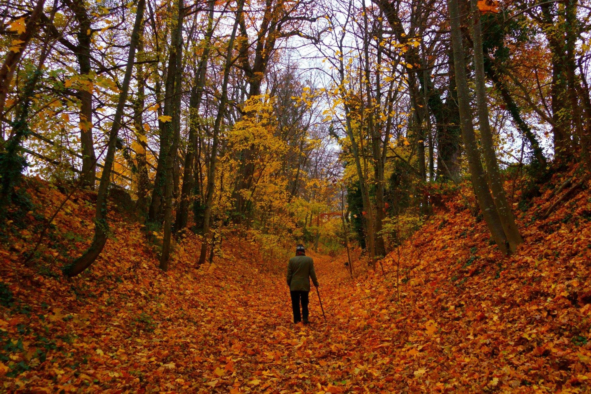 Dernier hiver Tendresses plurielles 11