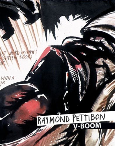 Raymond Pettibon: V-Boom