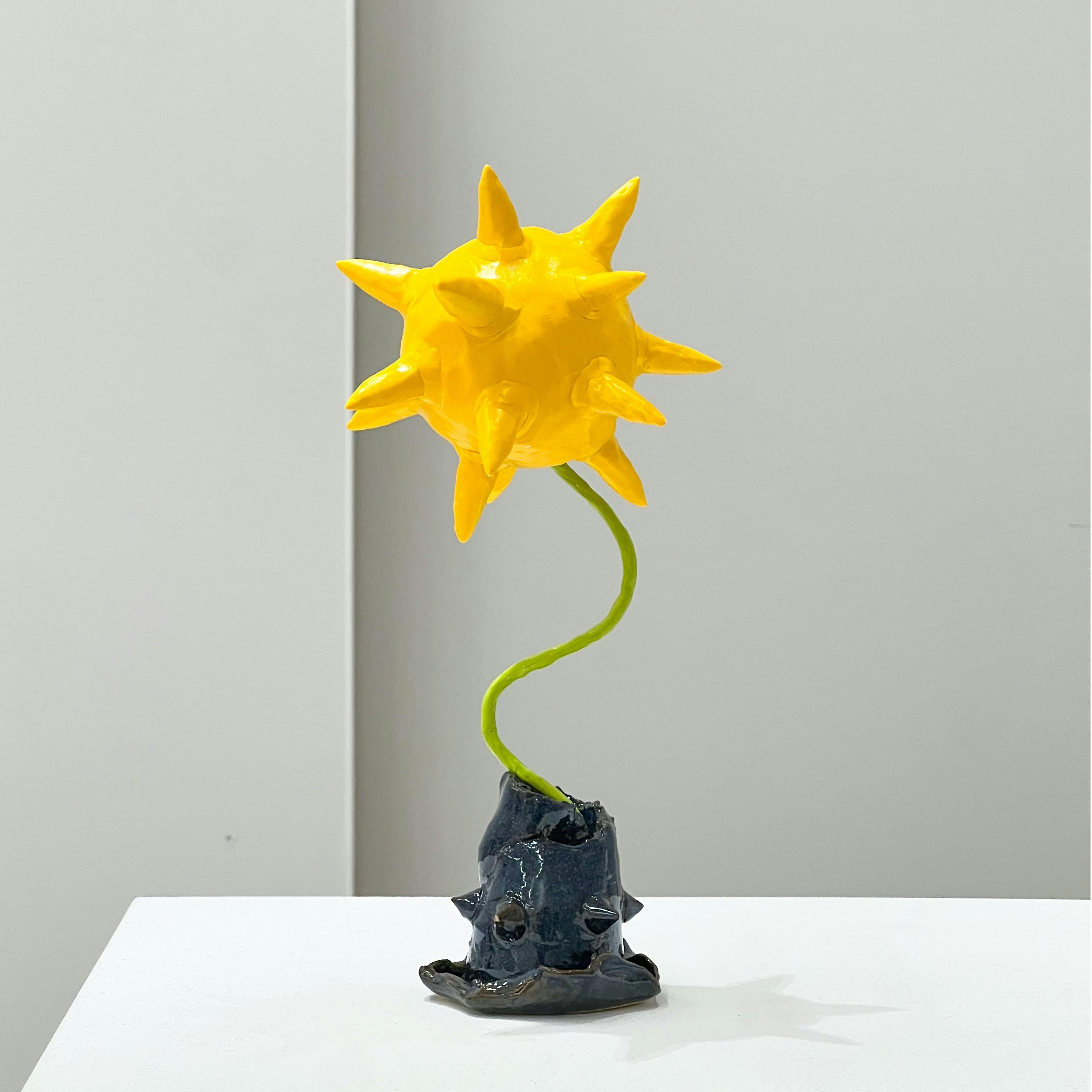 怒りのタンポポとナマコ (DANGERLION ON HOLOTHUROIDEA)