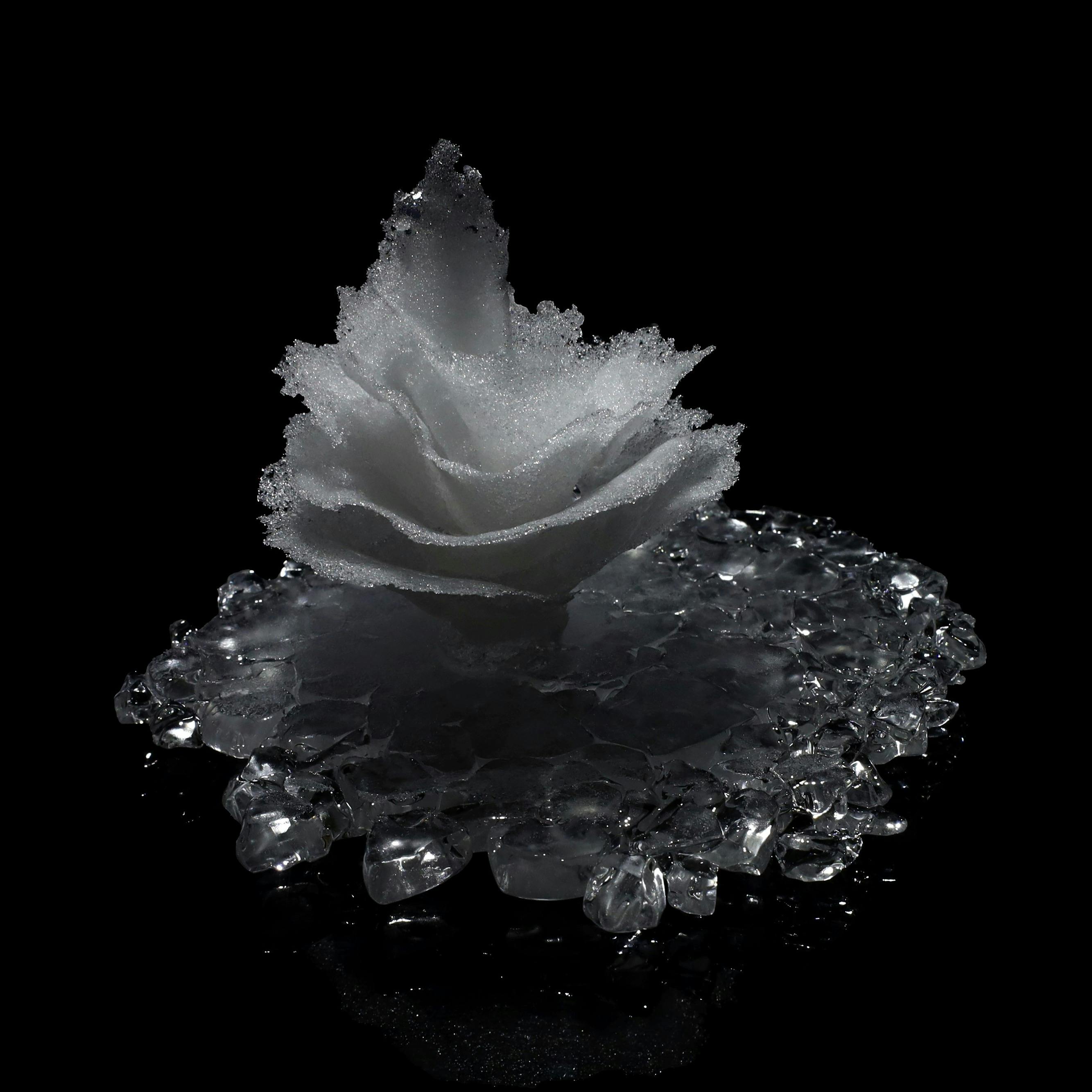 frost flower #24-12