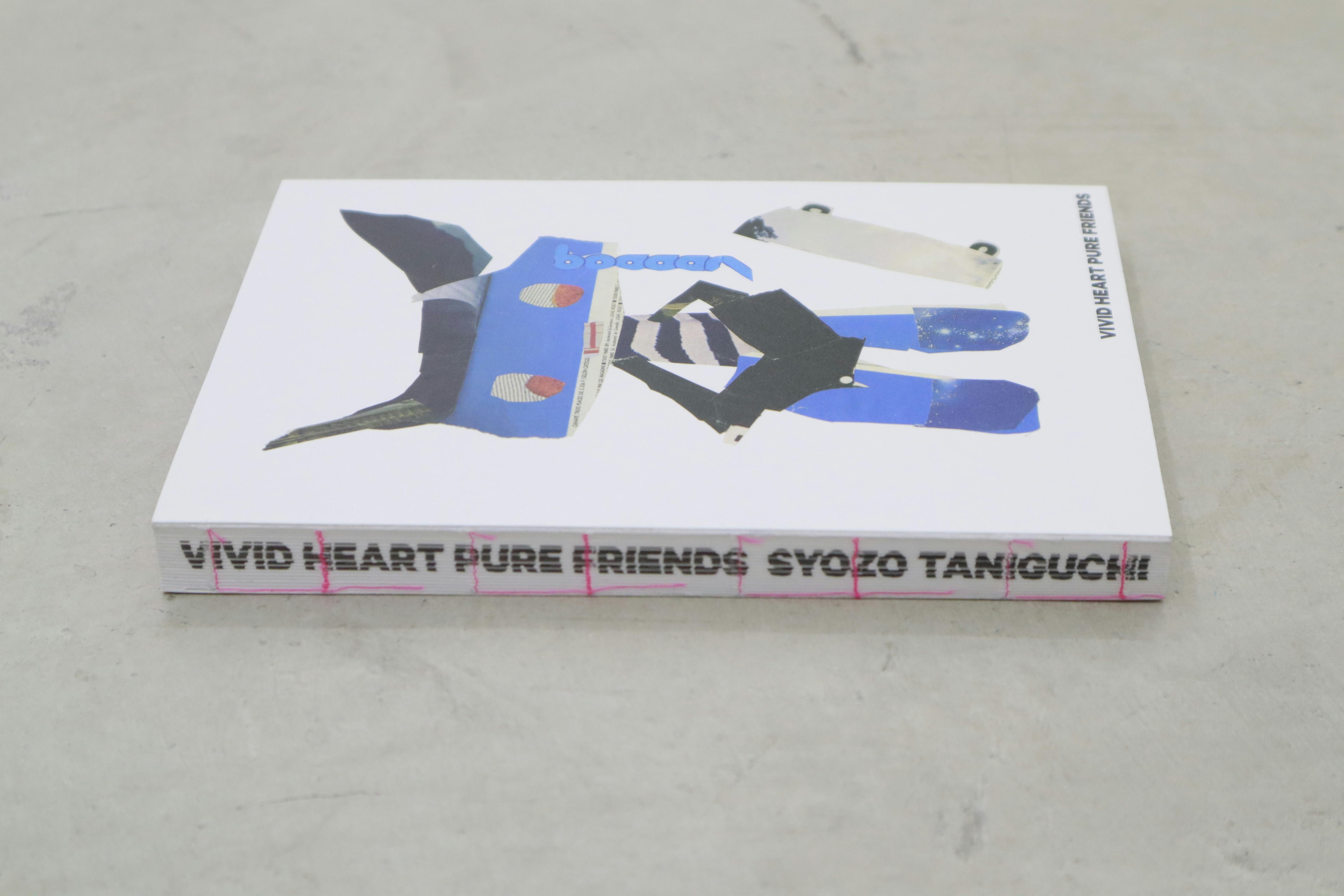 VIVID HEART PURE FRIENDS - SYOZO TANIGUCHI