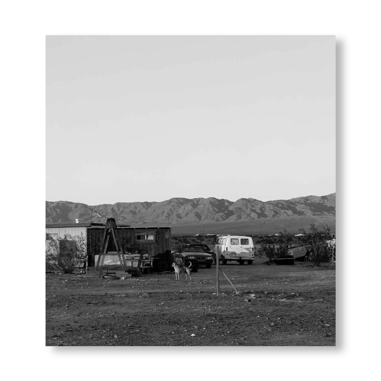 DOGS CHASING MY CAR IN THE DESERT  [REMASTERED EDITION]