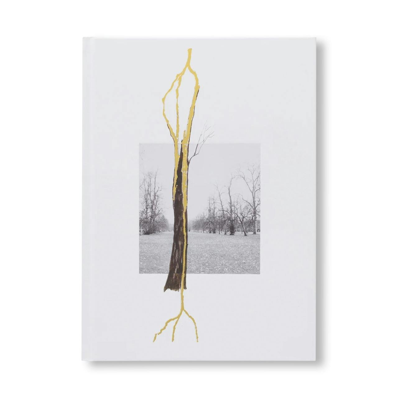 GIUSEPPE PENONE: THOUGHTS IN THE ROOTS