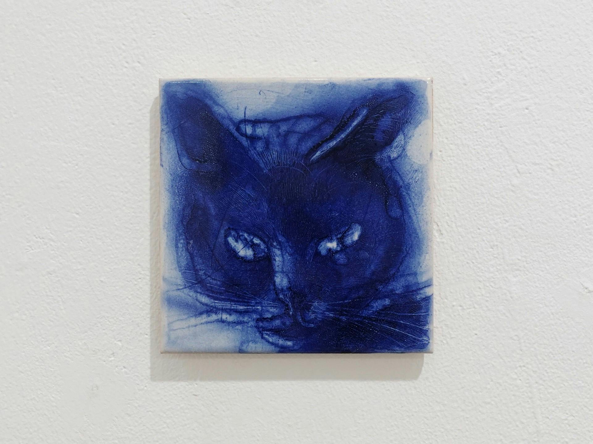 橋本悠希　Untitled
