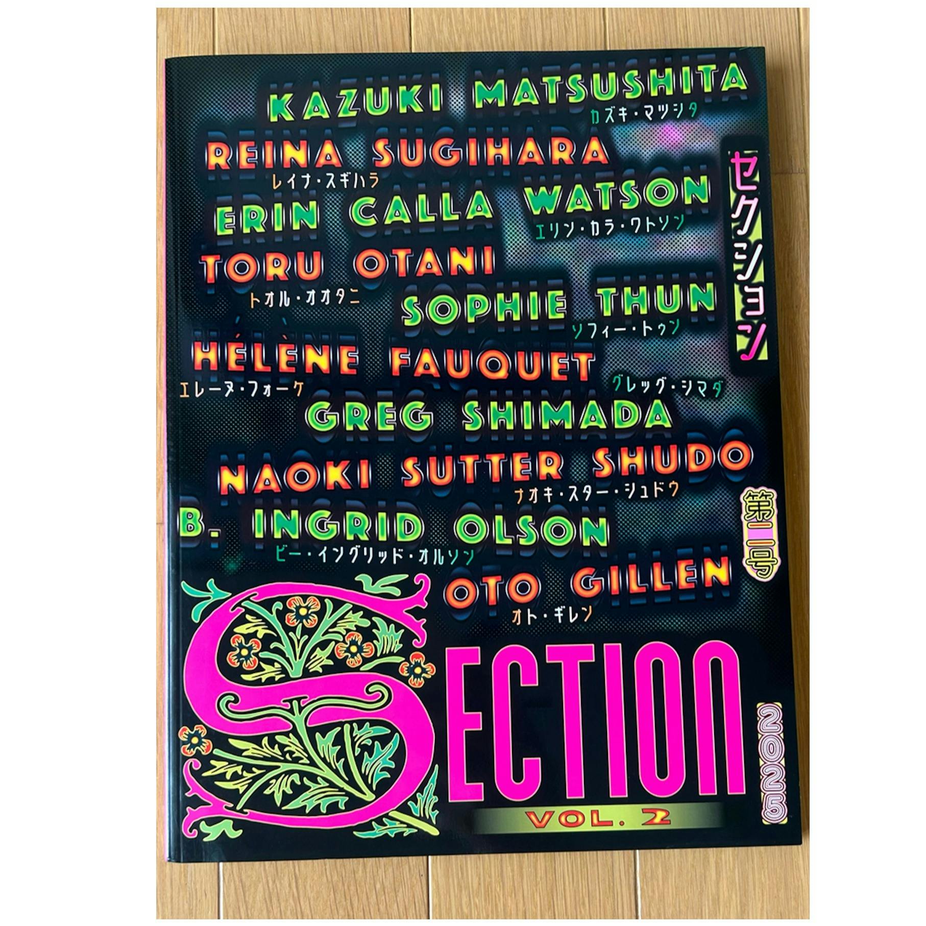 SECTION VOL.2