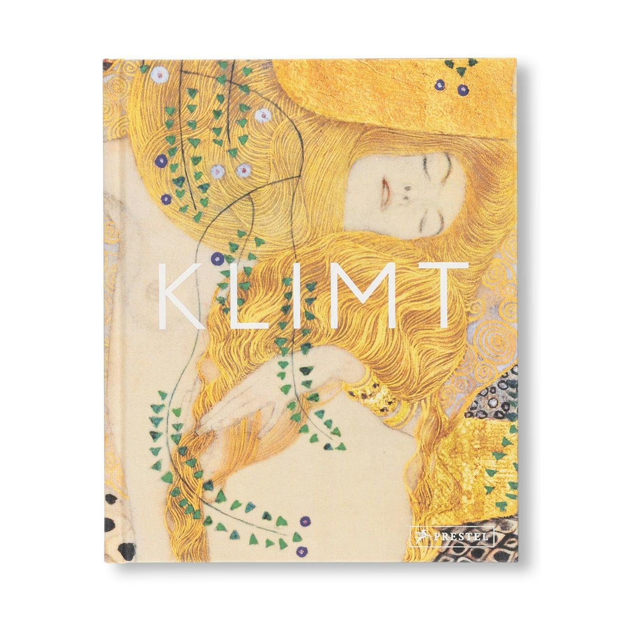 KLIMT - THE BIGGER PICTURE