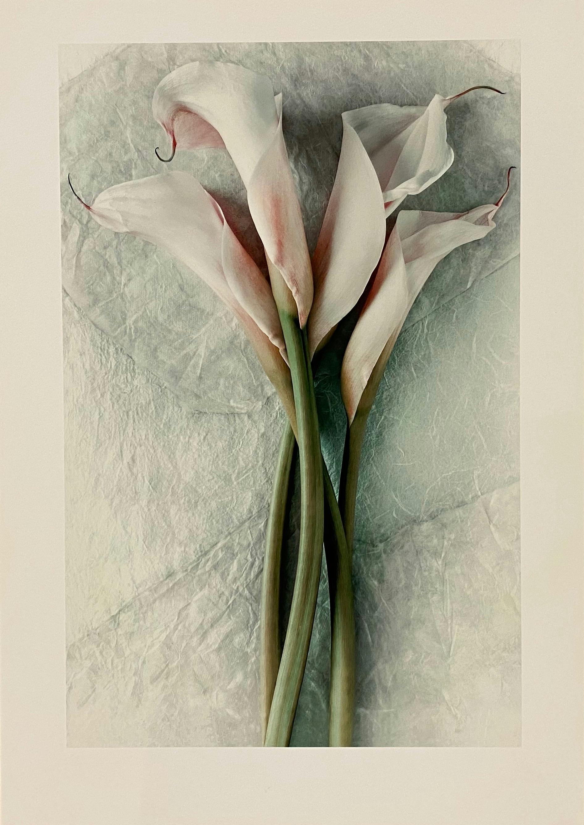 Antonio Redaelli, Quattro Calla, 2010