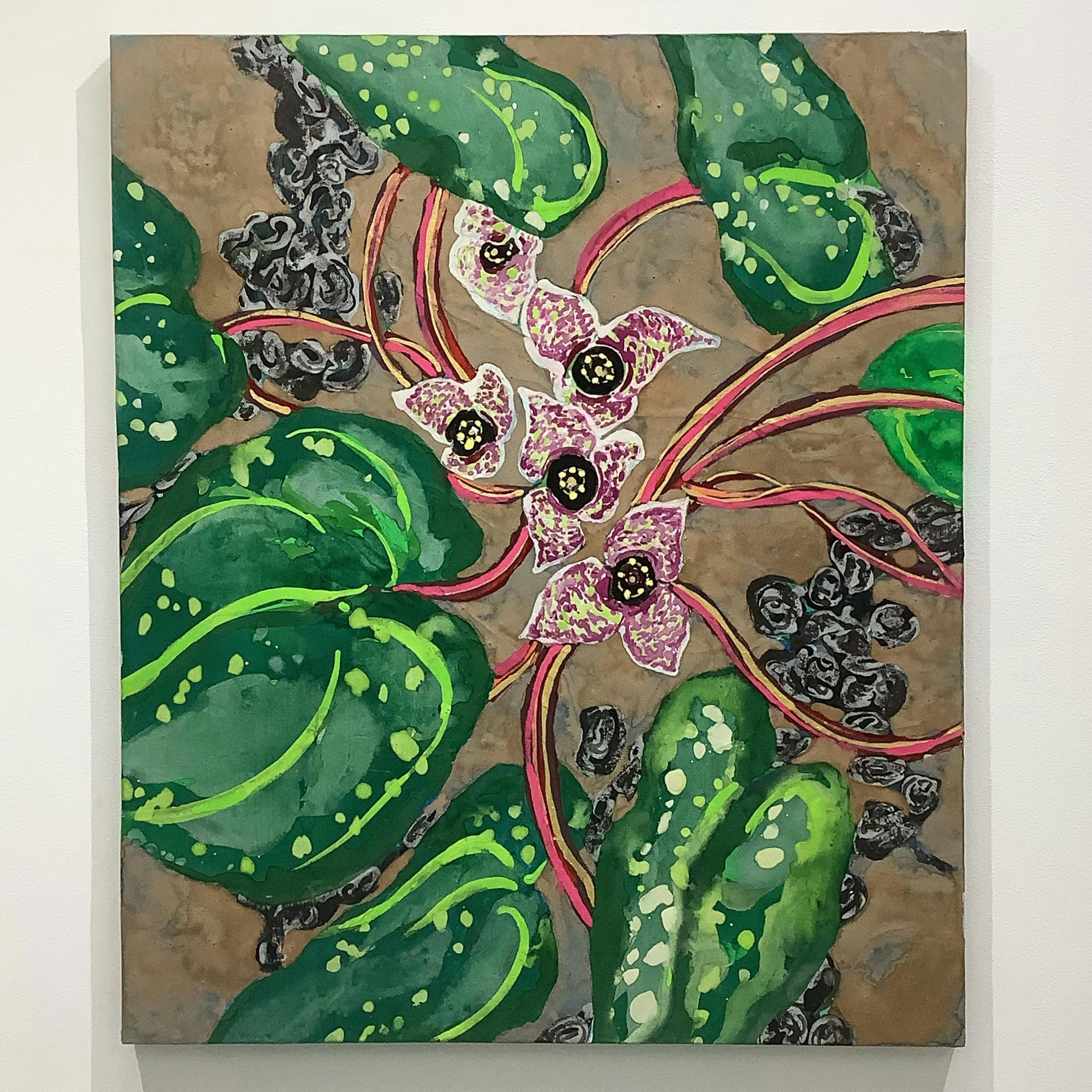 ギフチョウを待つヒメカンアオイ