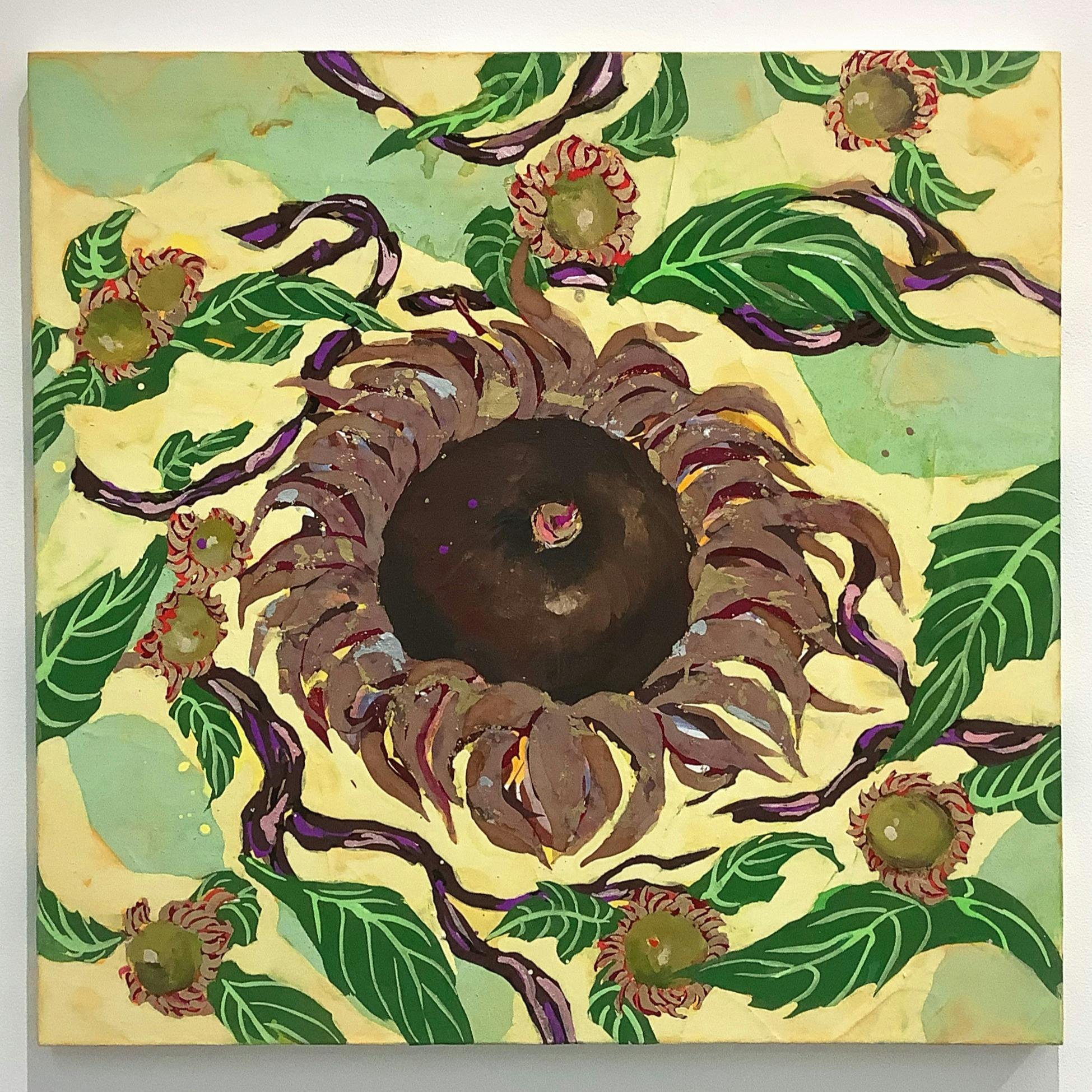 植物園のアベマキの実