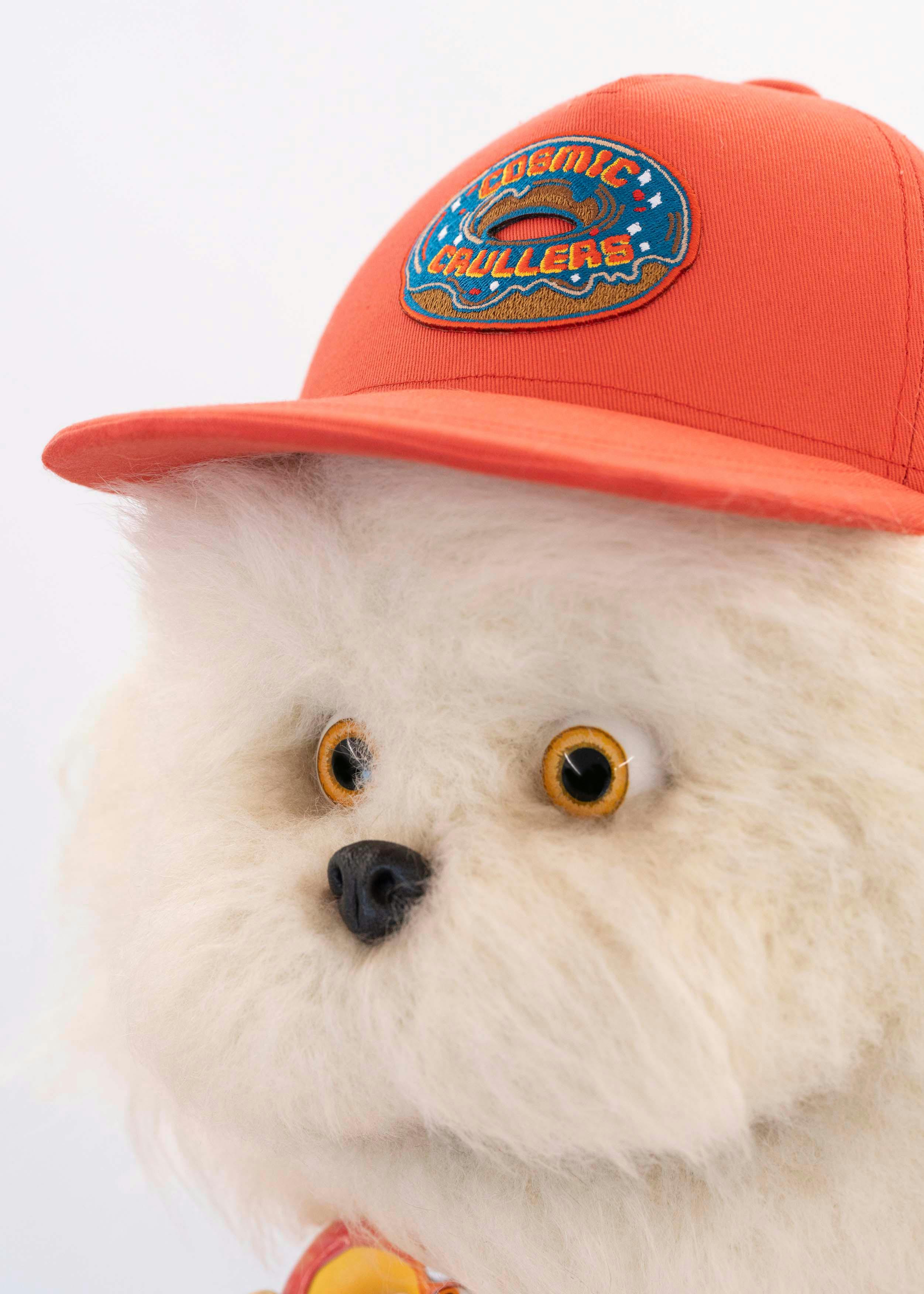 Gordon（ゴードン）