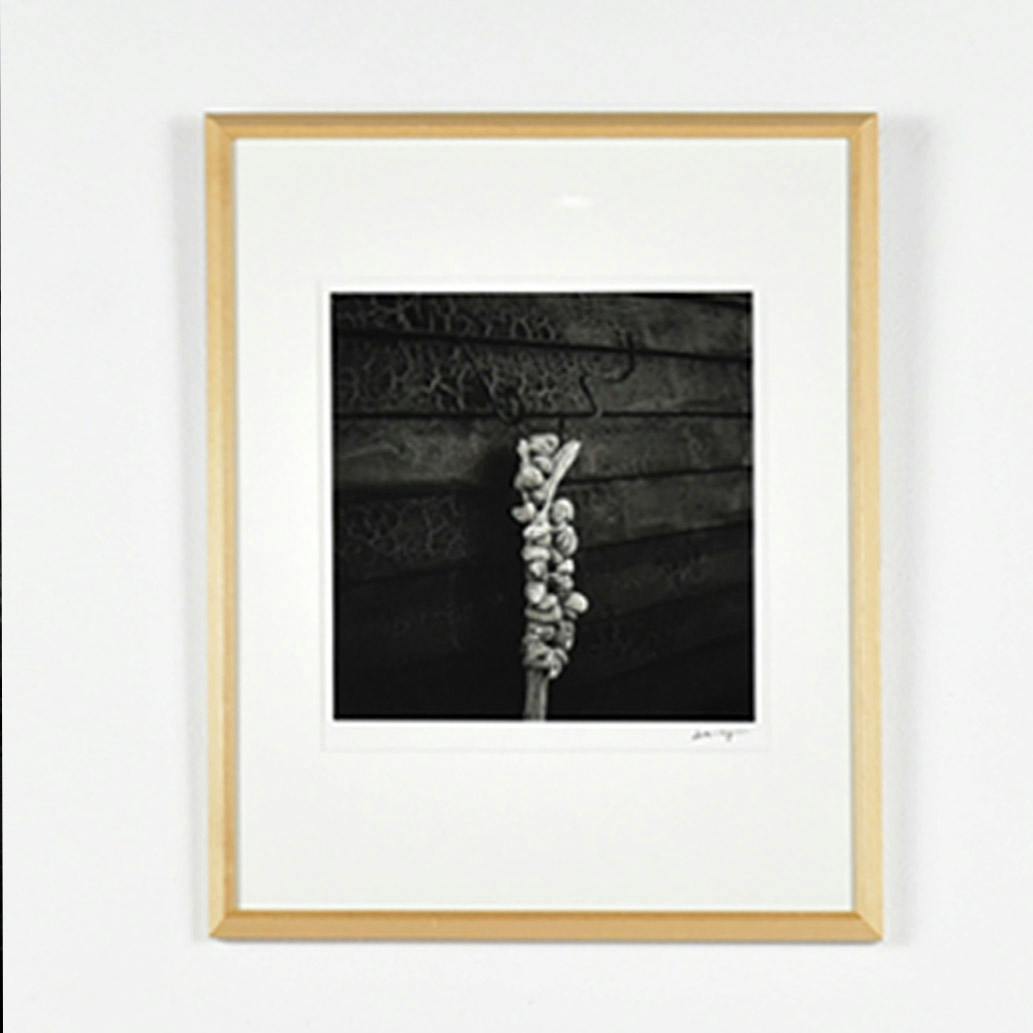 《Candlelight》framed