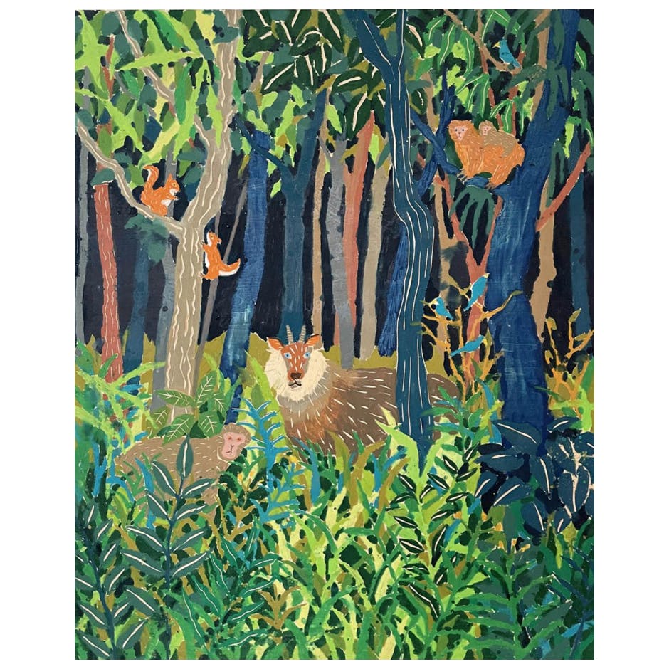 ニホンカモシカのいる森