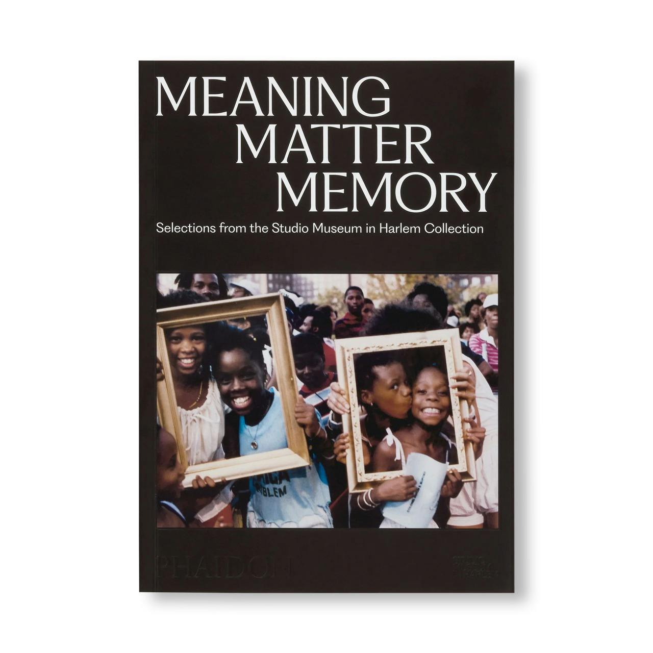 MEANING MATTER MEMORY: SELECTIONS FROM THE STUDIO MUSEUM IN HARLEM COLLECTION