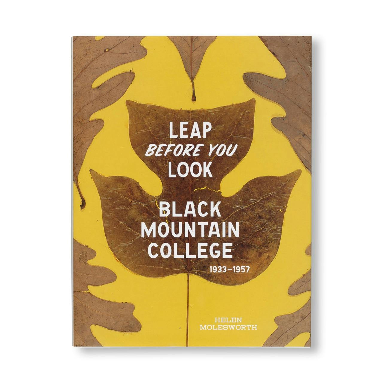 LEAP BEFORE YOU LOOK