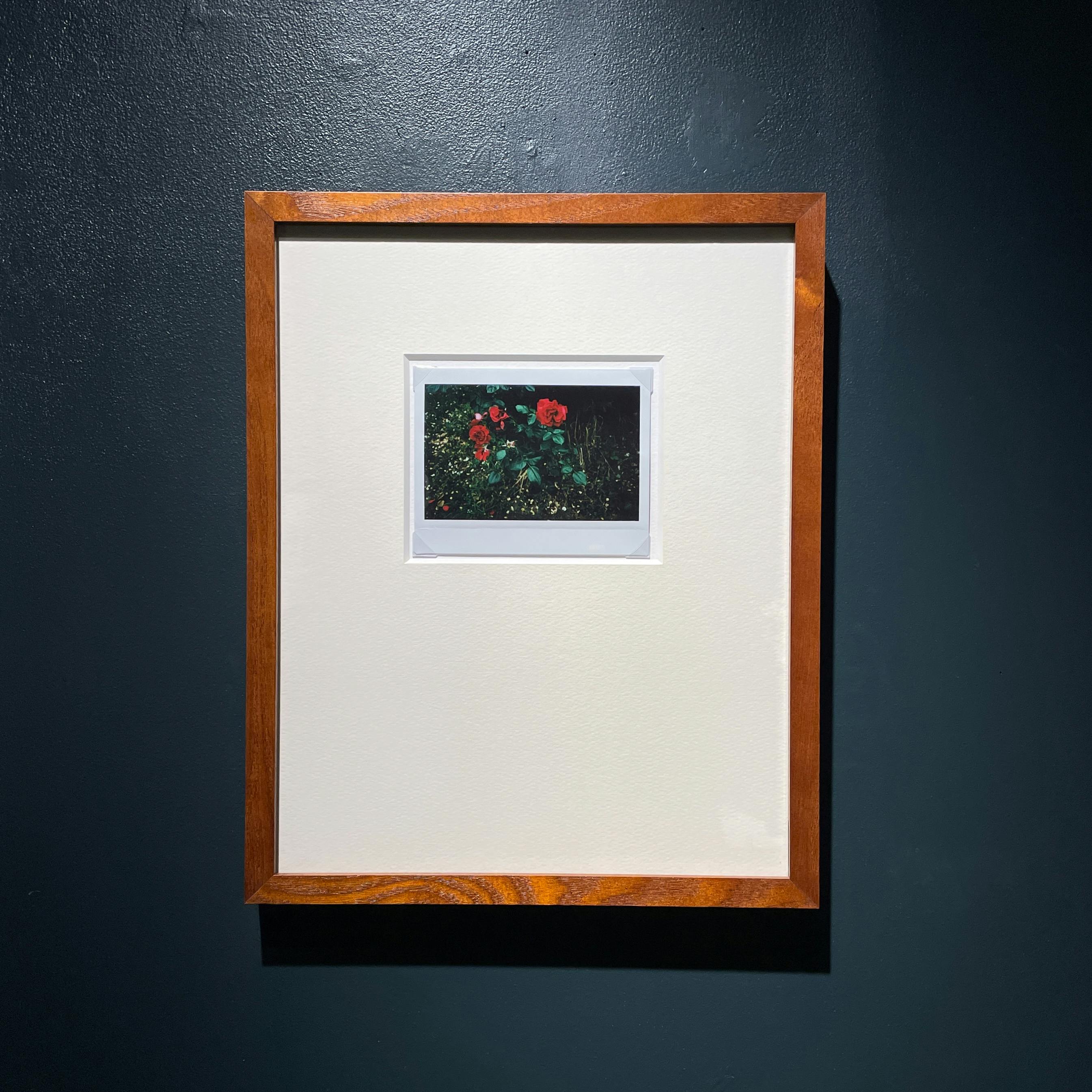 Jean-Marie Reynier #02