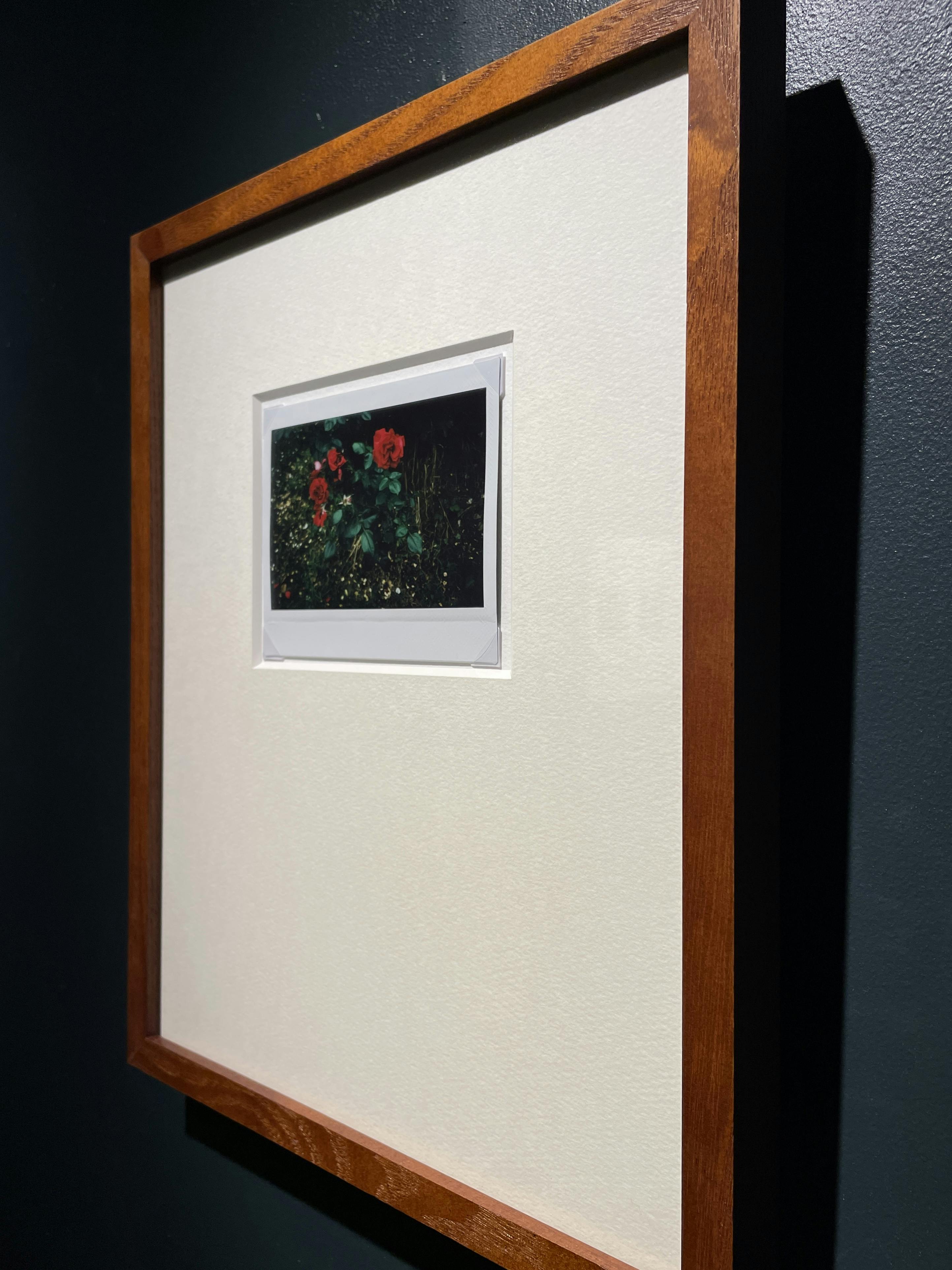 Jean-Marie Reynier #02