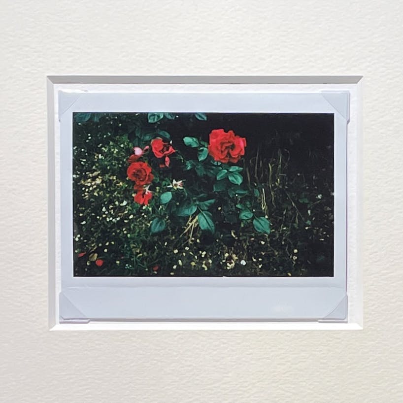 Jean-Marie Reynier #02