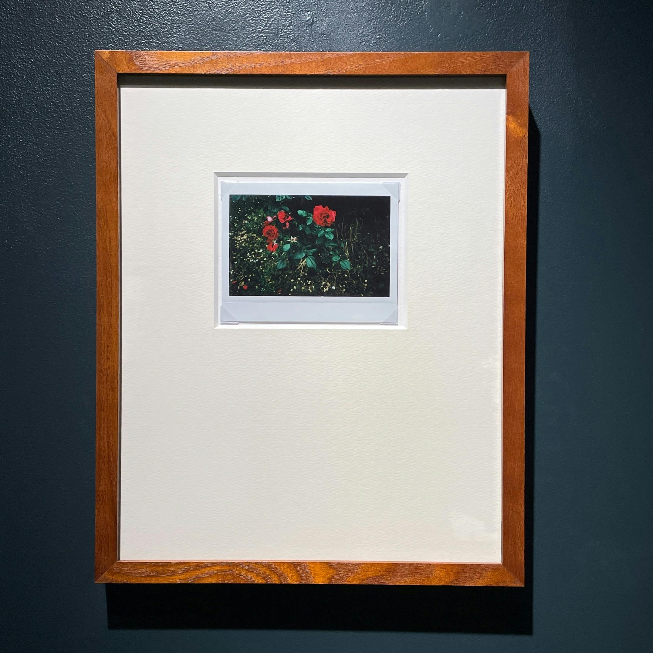 Jean-Marie Reynier PORALOID #02