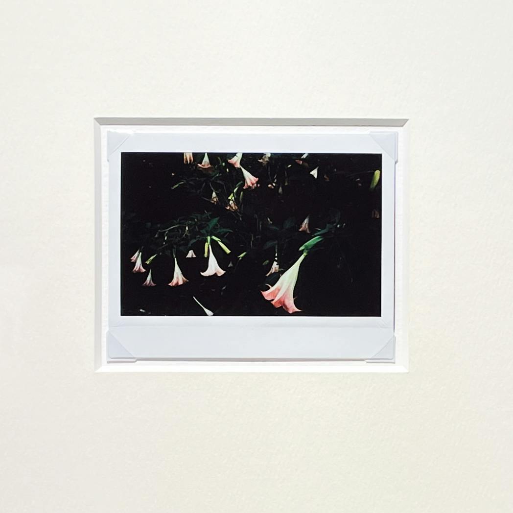 Jean-Marie Reynier PORALOID #03