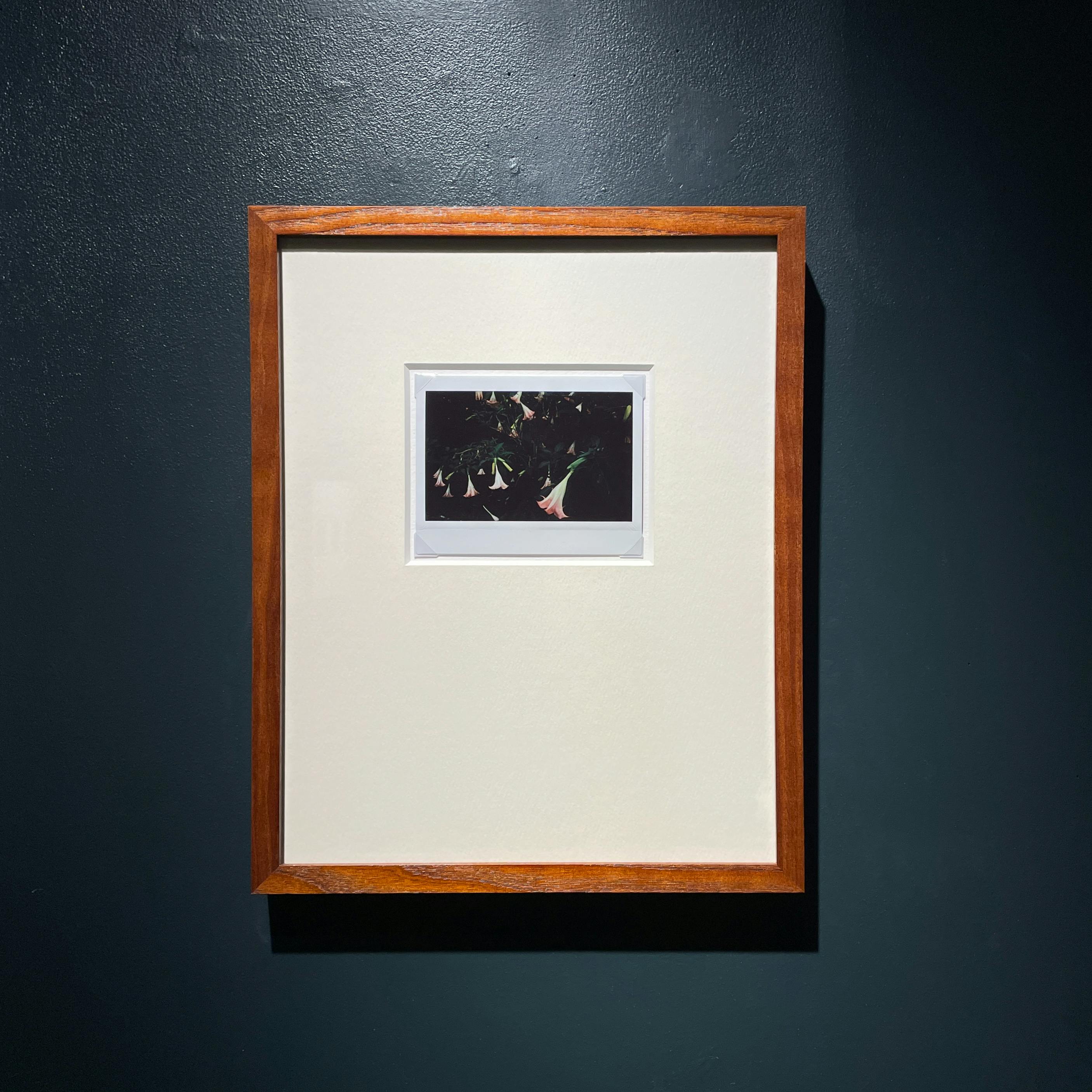 Jean-Marie Reynier PORALOID #03