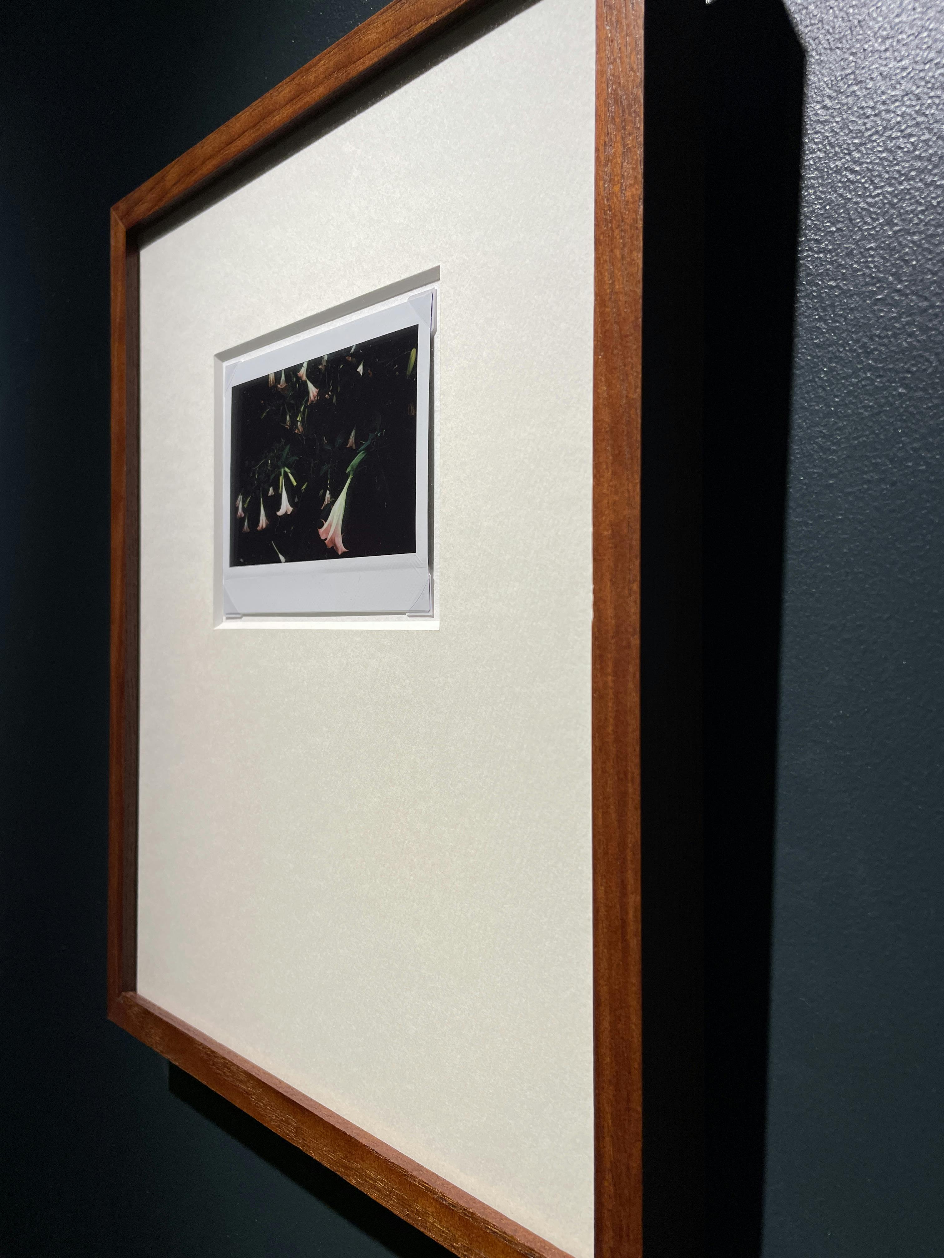 Jean-Marie Reynier PORALOID #03