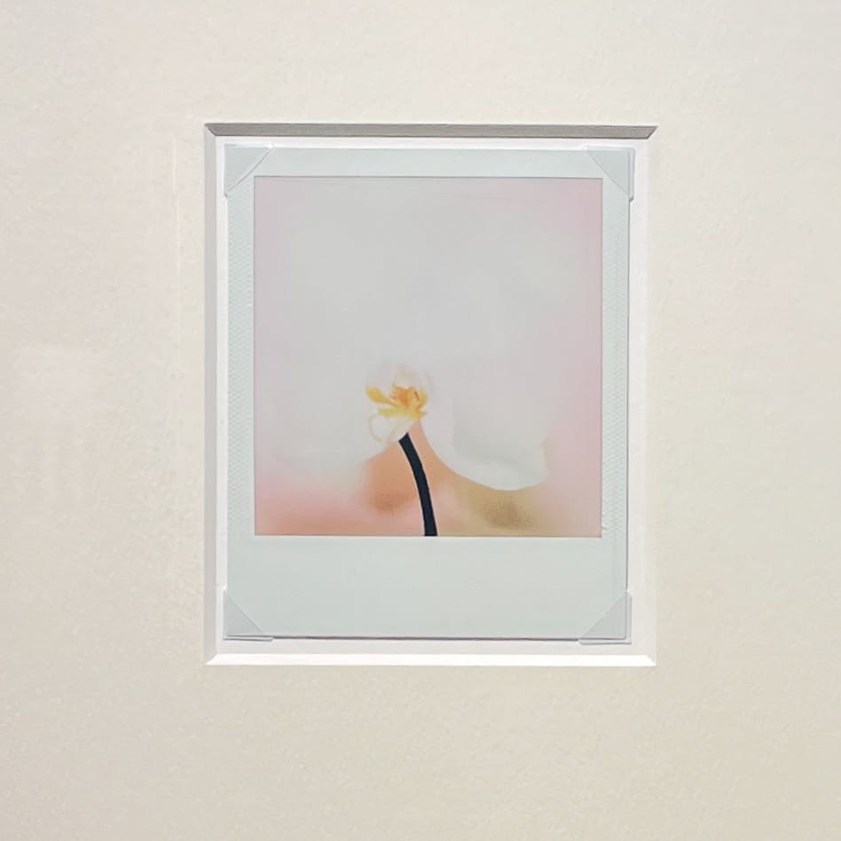 Jean-Marie Reynier PORALOID #04