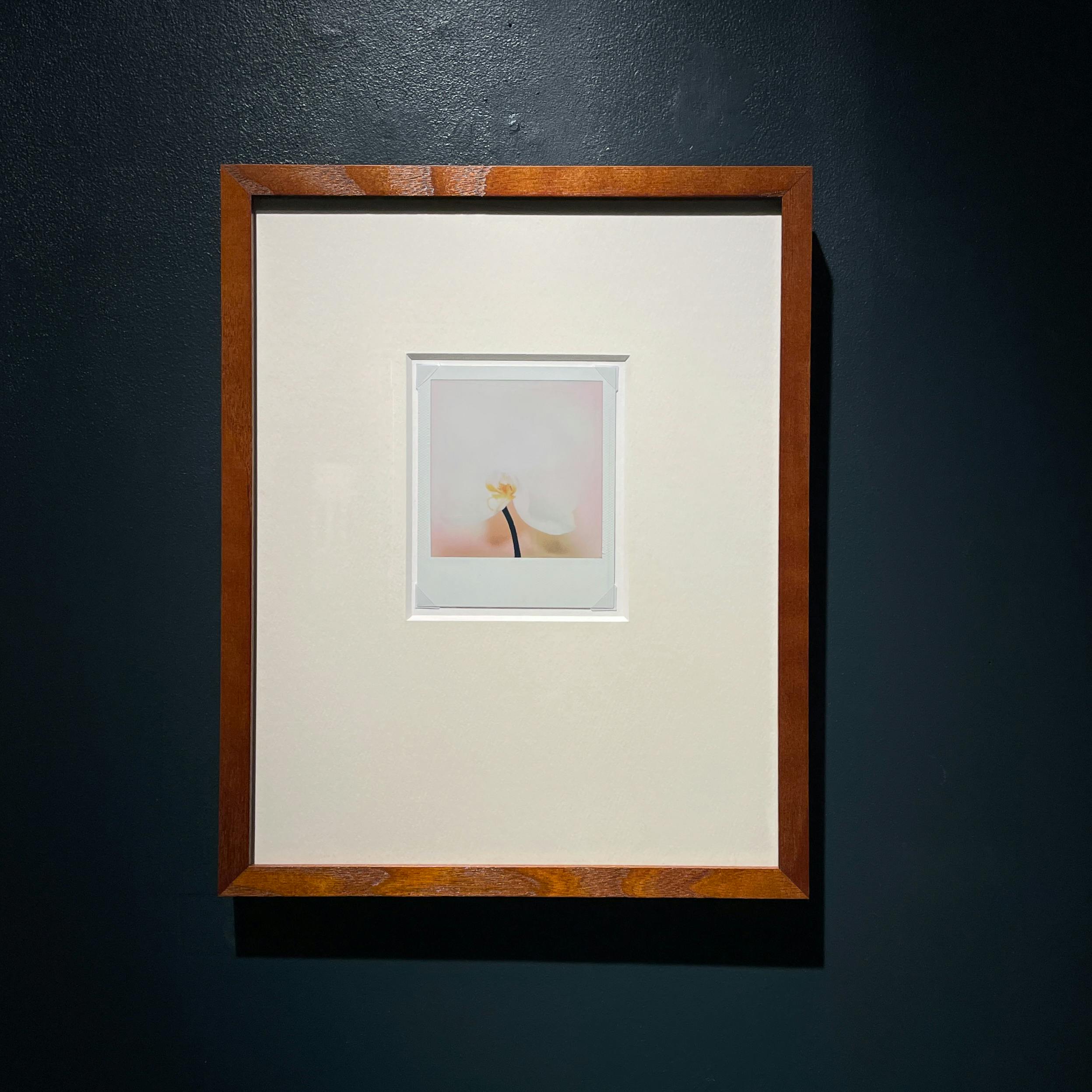 Jean-Marie Reynier PORALOID #04