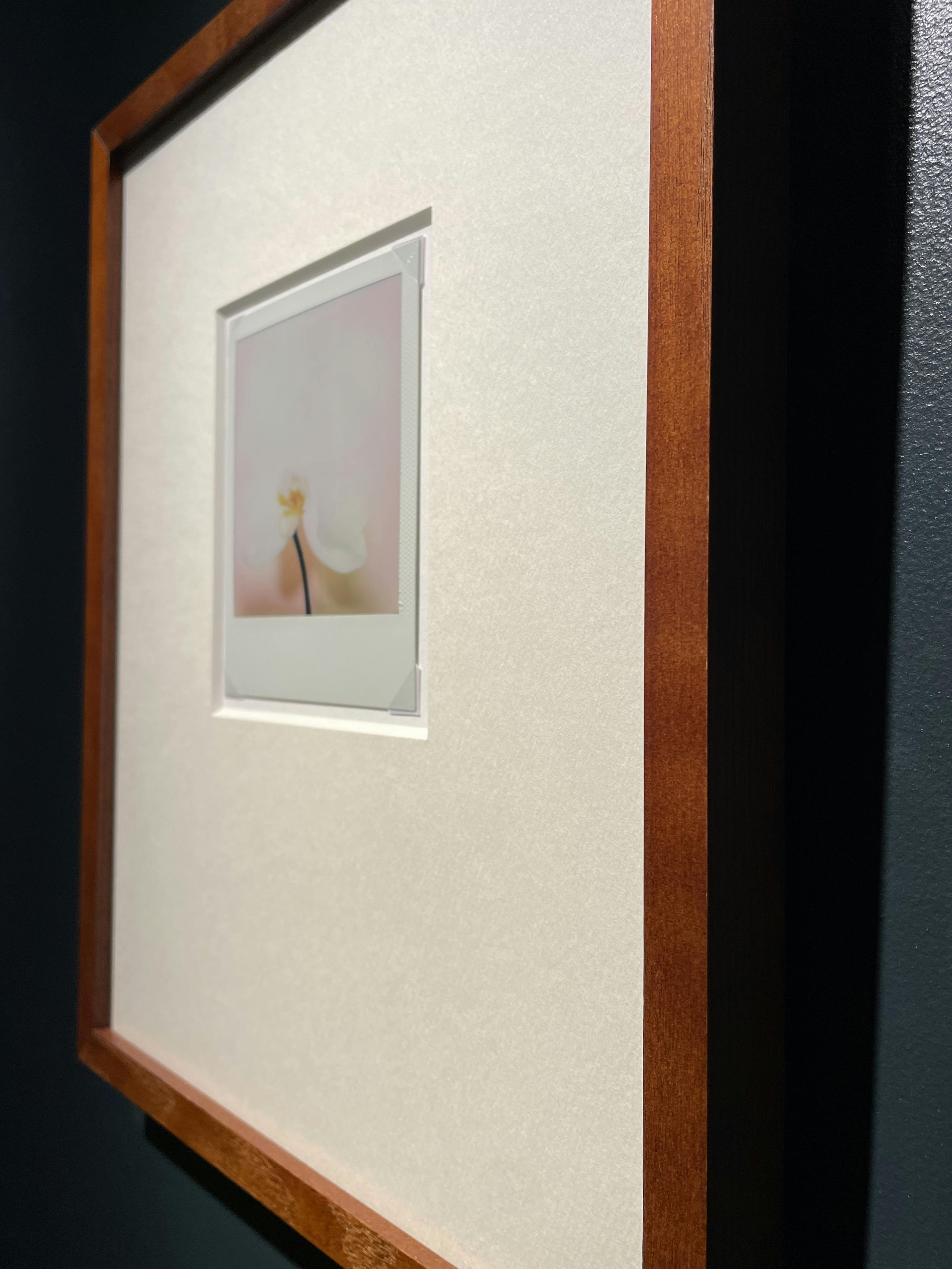 Jean-Marie Reynier PORALOID #04